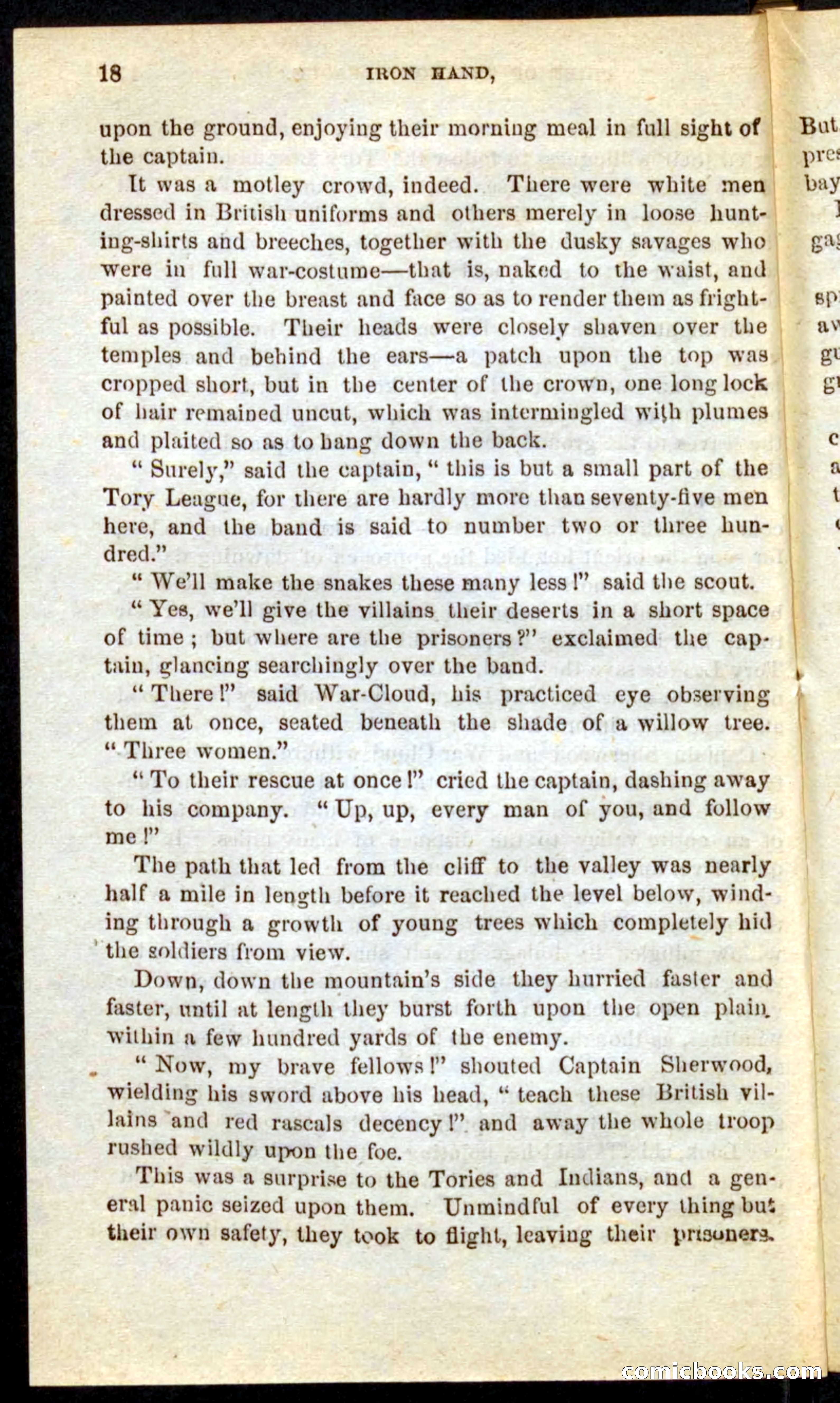 Beadle's Pocket Novels No. 68: Iron Hand, the Tory Chief — page 14 of 100