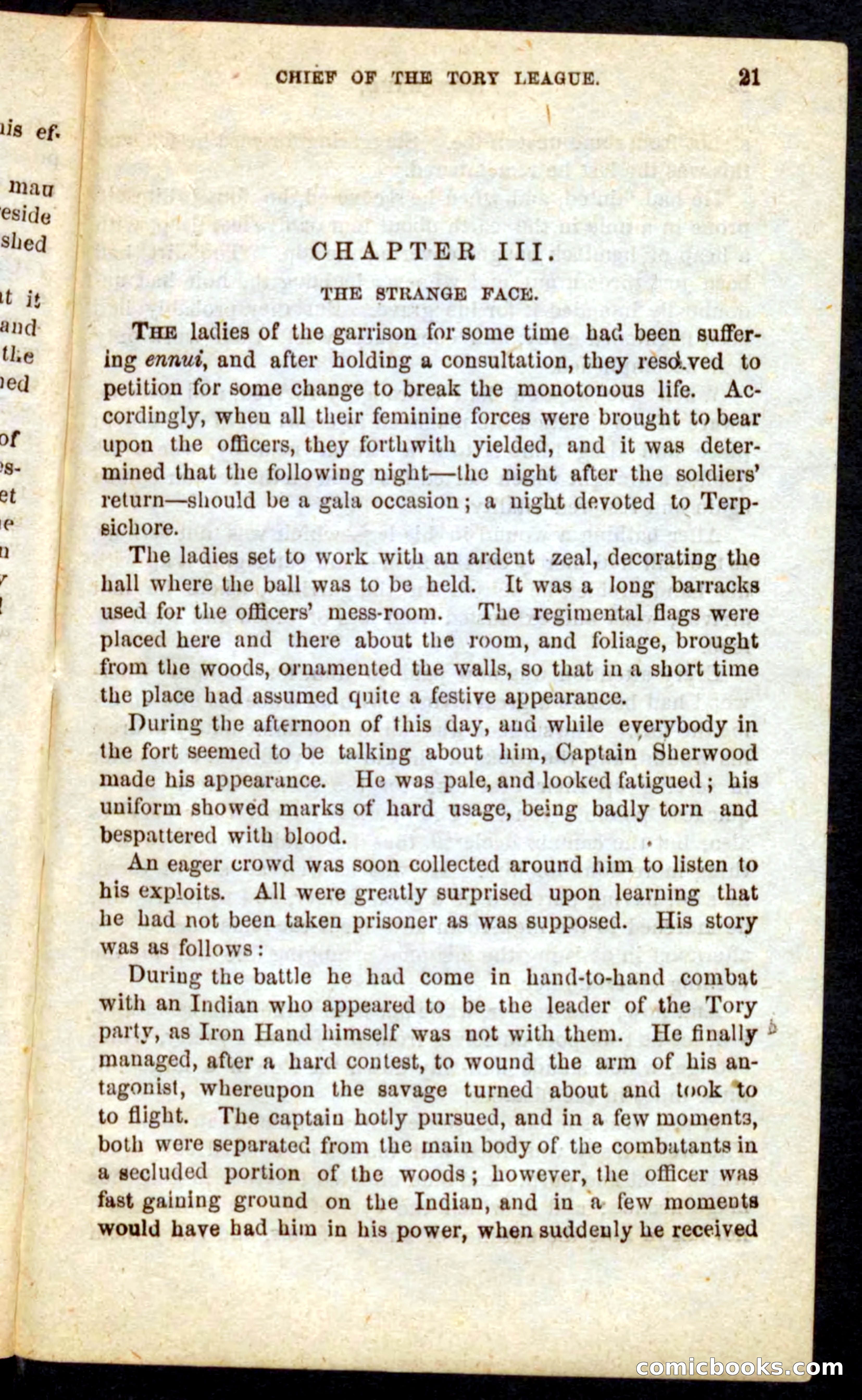Beadle's Pocket Novels No. 68: Iron Hand, the Tory Chief — page 17 of 100