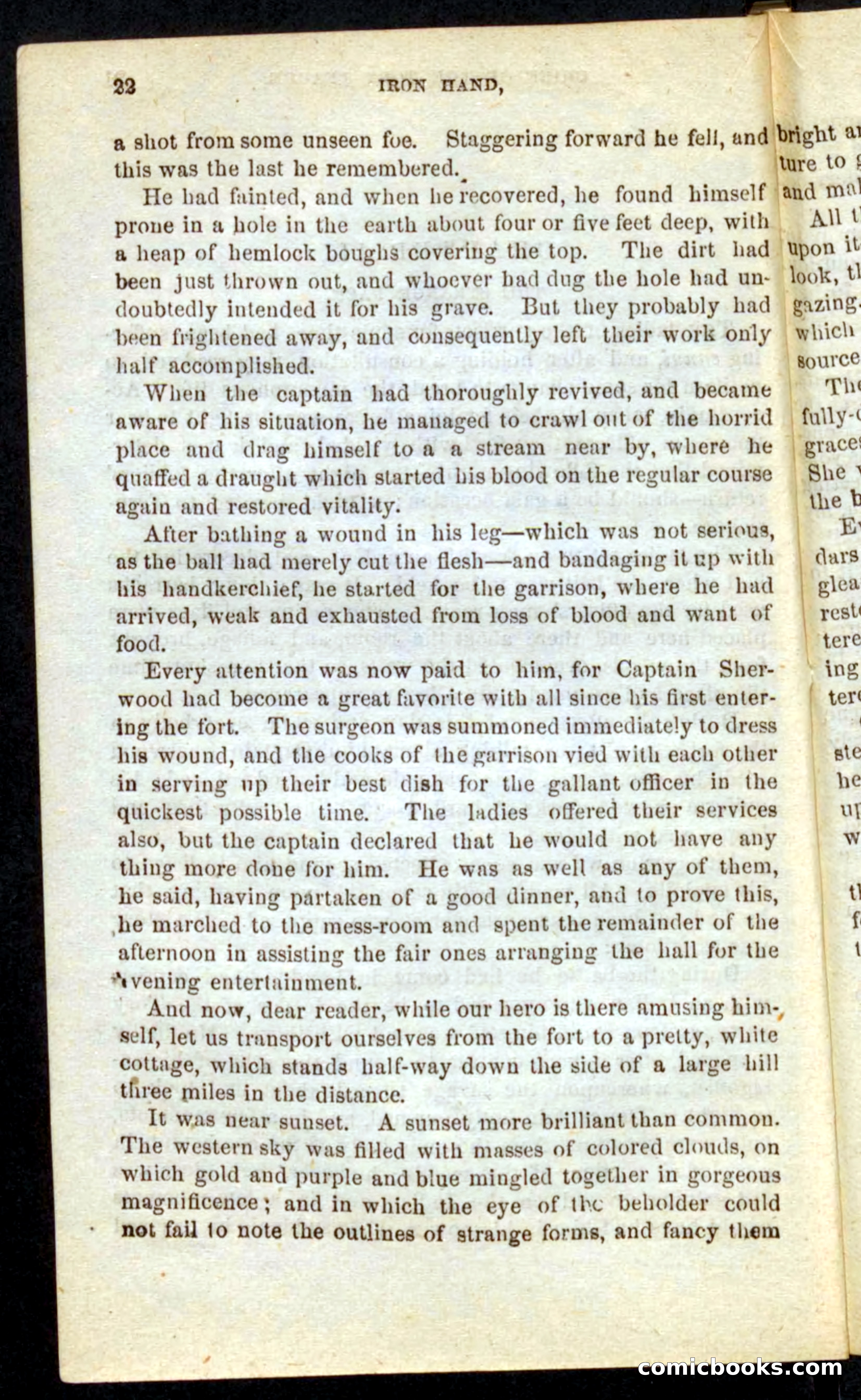 Beadle's Pocket Novels No. 68: Iron Hand, the Tory Chief — page 18 of 100