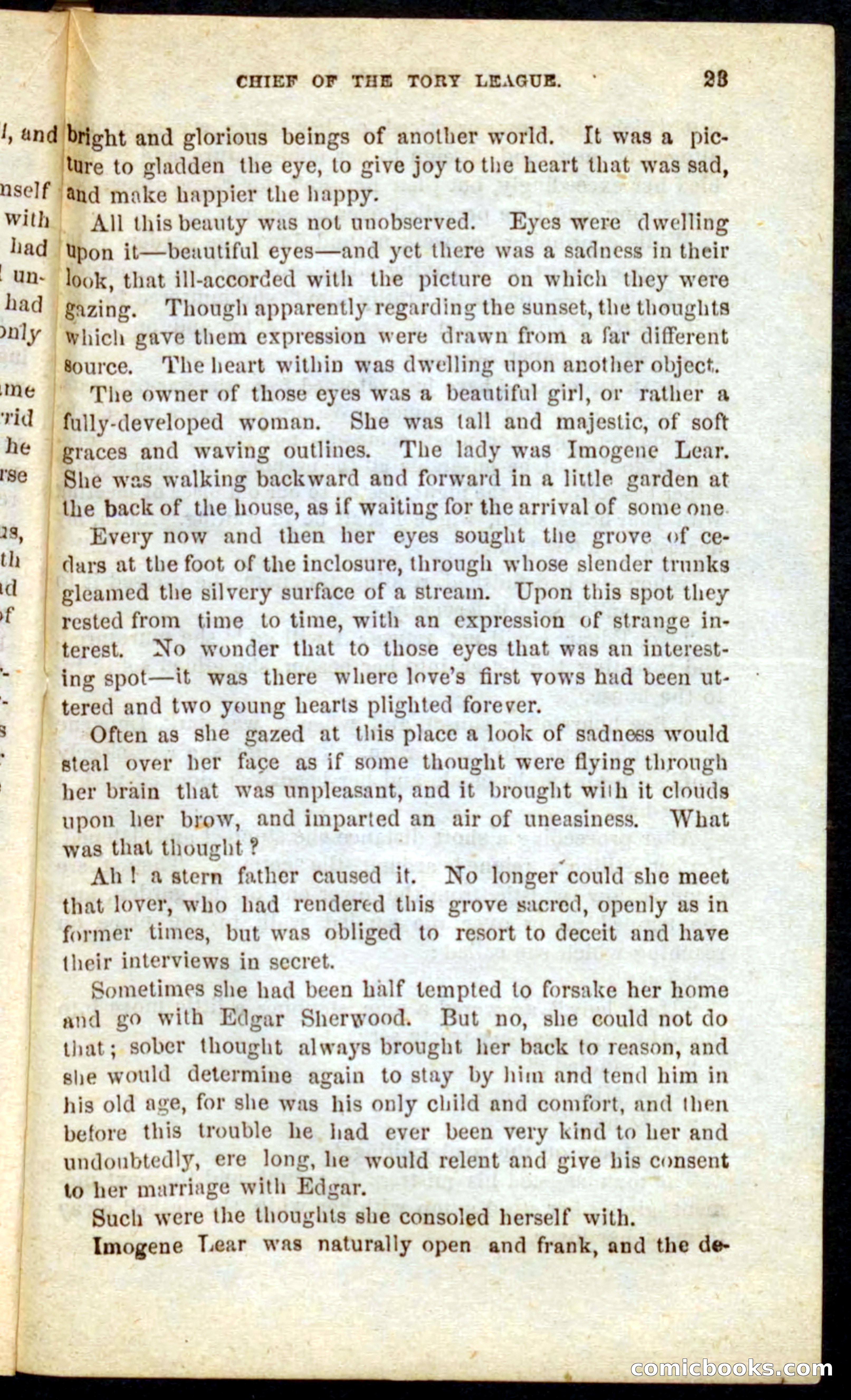 Beadle's Pocket Novels No. 68: Iron Hand, the Tory Chief — page 19 of 100