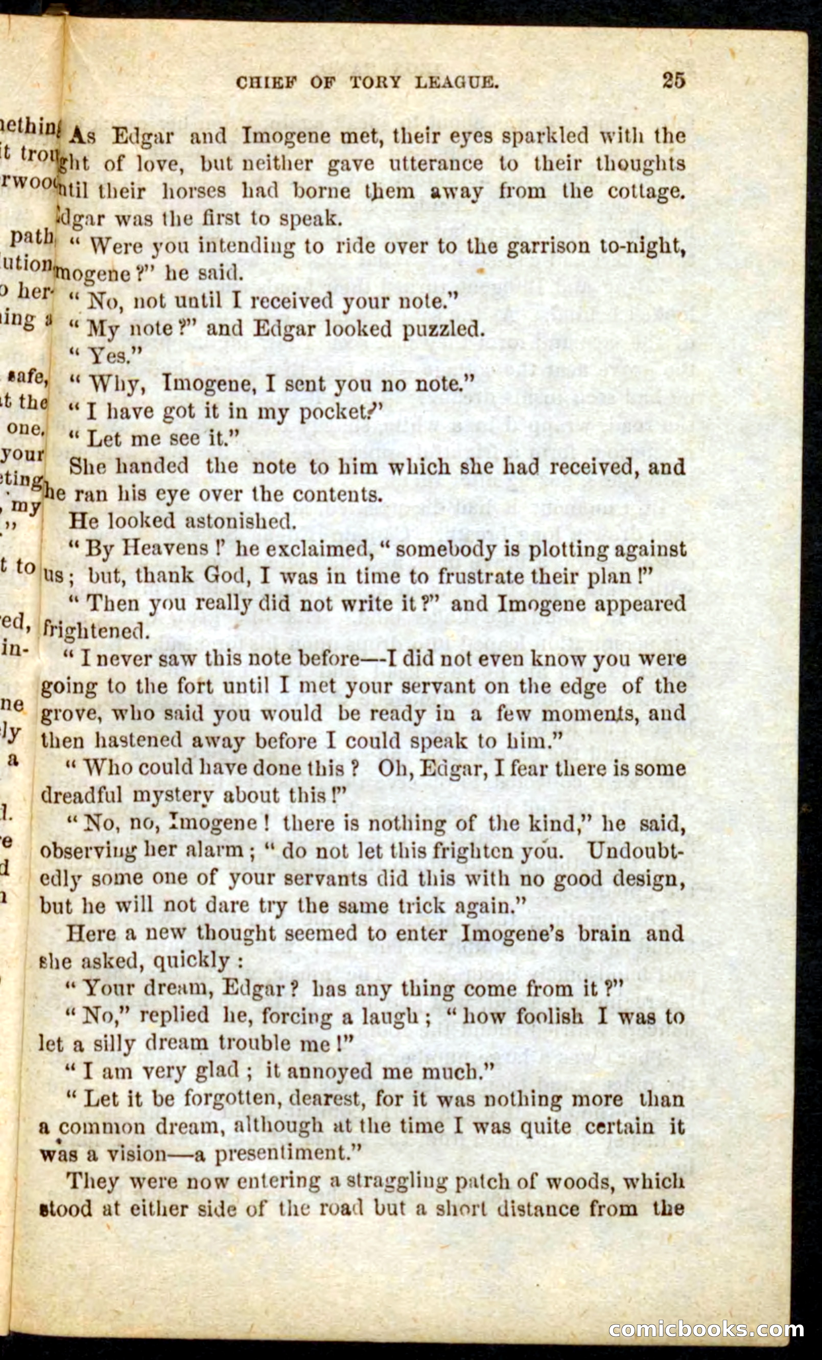 Beadle's Pocket Novels No. 68: Iron Hand, the Tory Chief — page 21 of 100