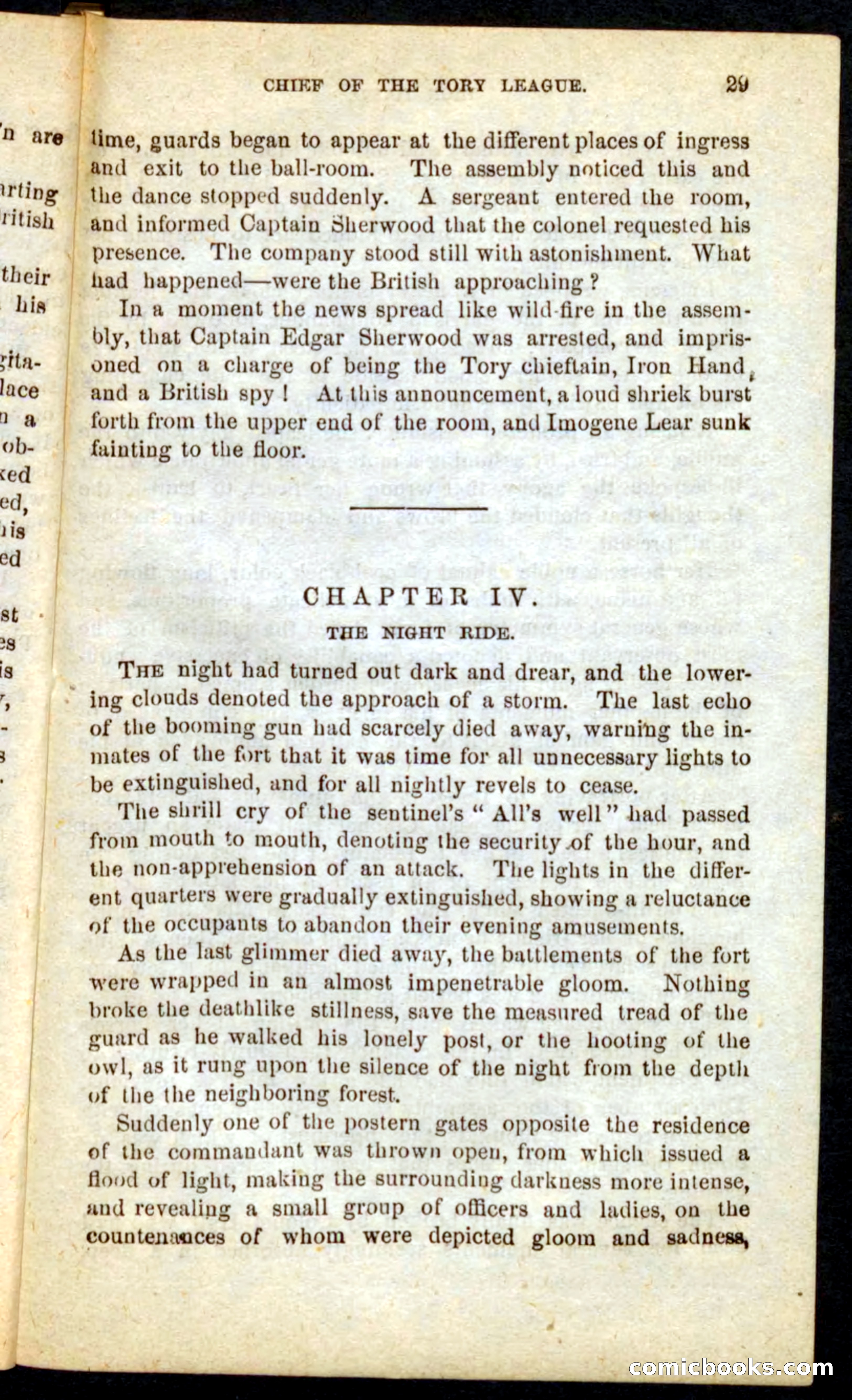 Beadle's Pocket Novels No. 68: Iron Hand, the Tory Chief — page 25 of 100