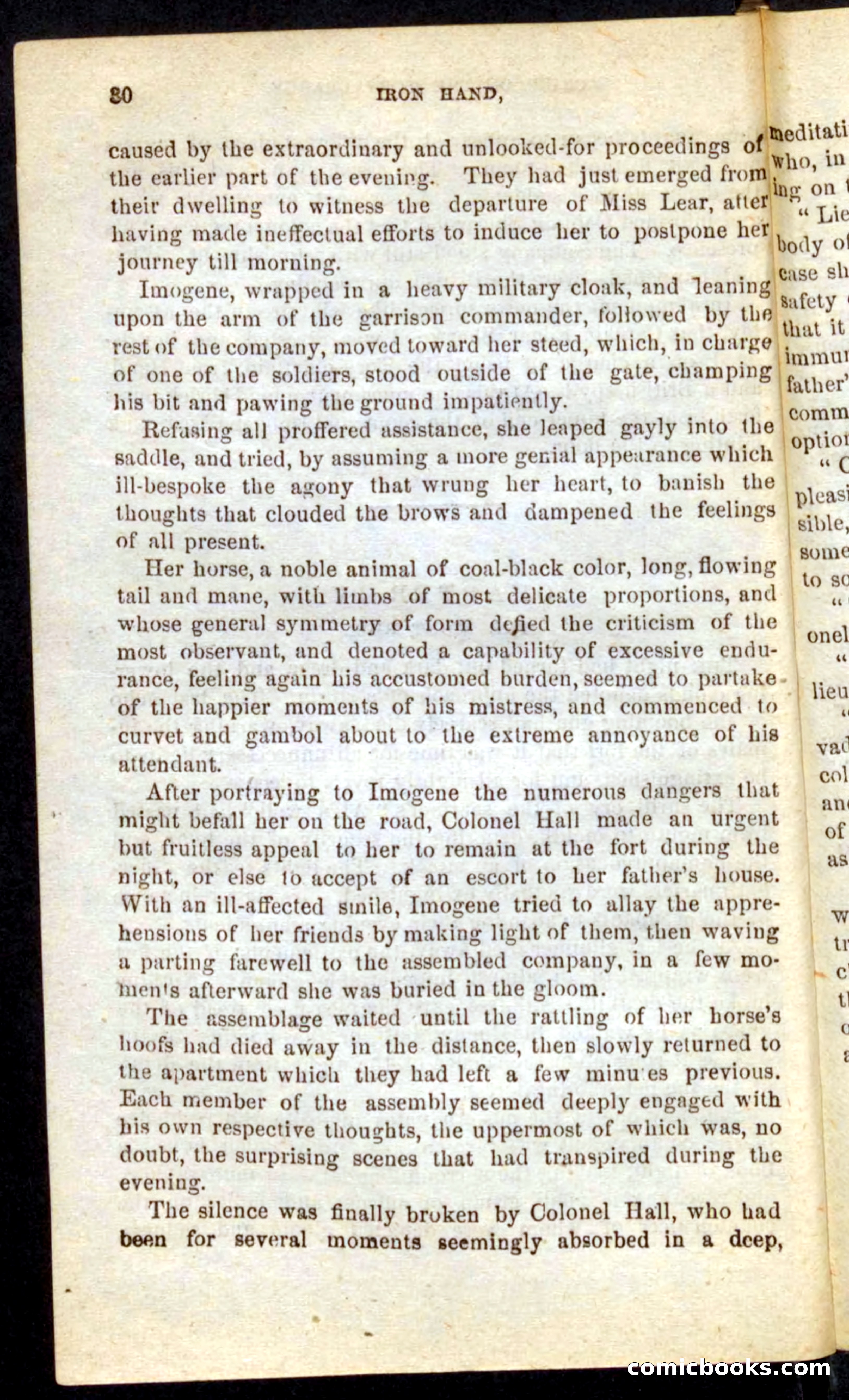 Beadle's Pocket Novels No. 68: Iron Hand, the Tory Chief — page 26 of 100
