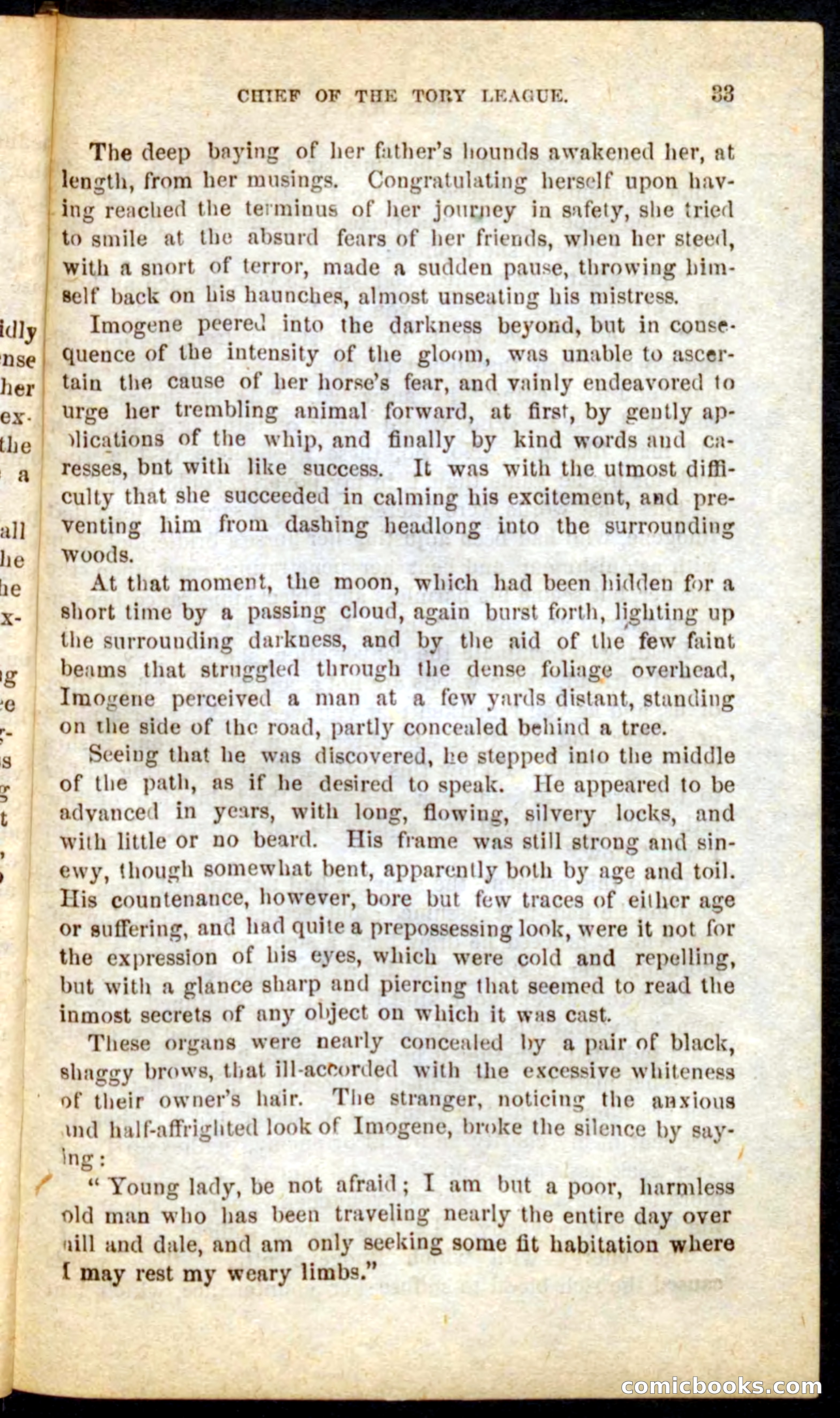 Beadle's Pocket Novels No. 68: Iron Hand, the Tory Chief — page 29 of 100