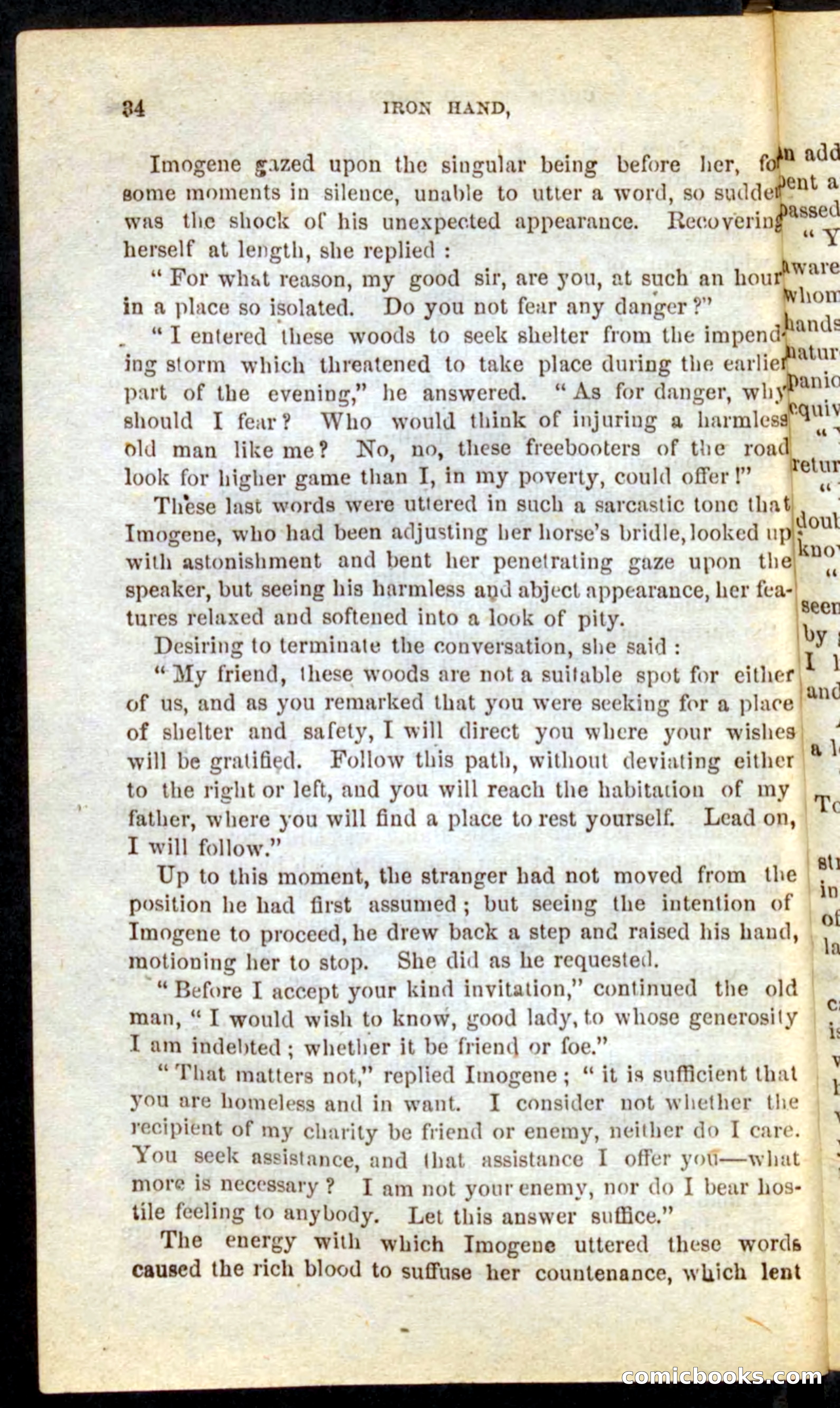 Beadle's Pocket Novels No. 68: Iron Hand, the Tory Chief — page 30 of 100