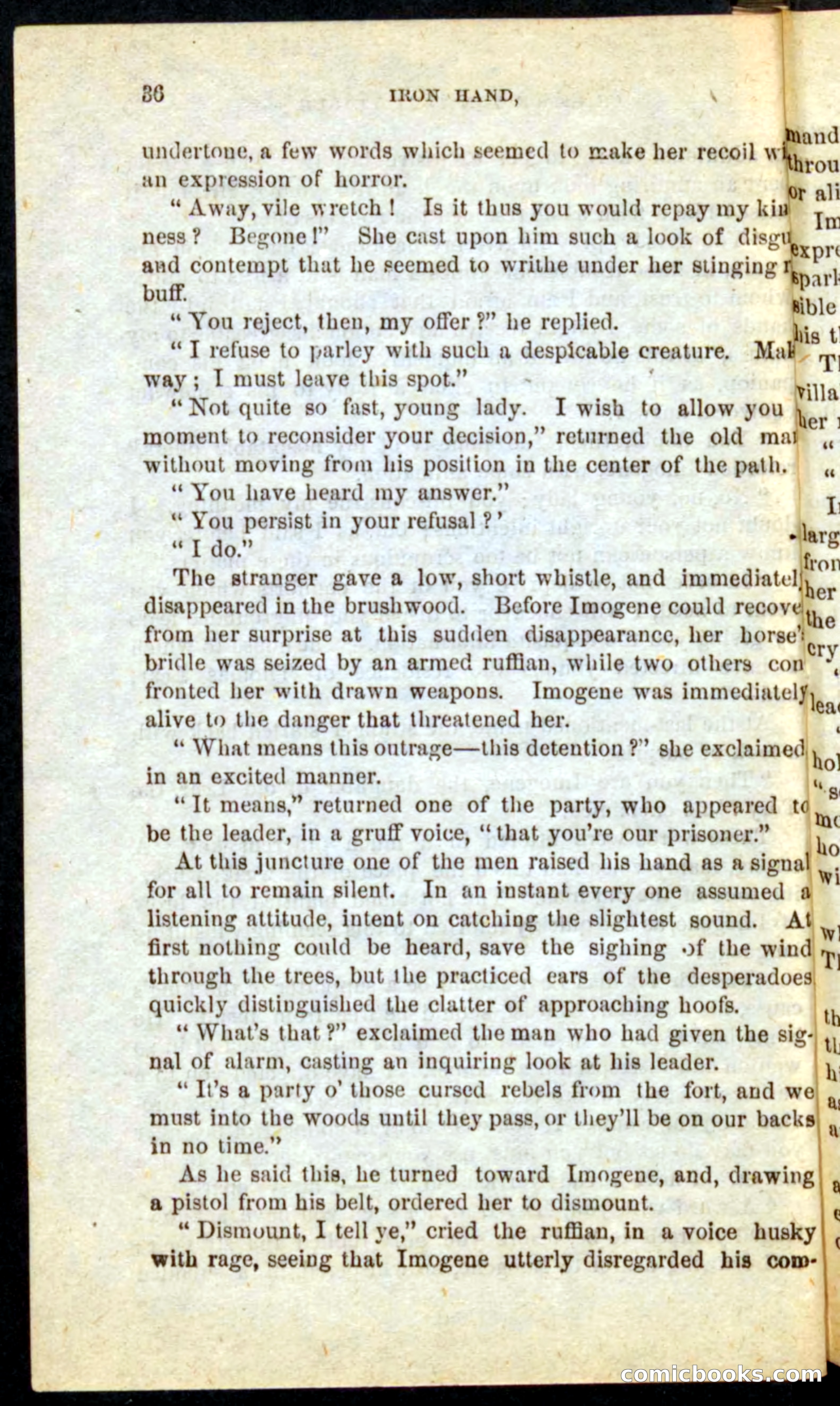 Beadle's Pocket Novels No. 68: Iron Hand, the Tory Chief — page 32 of 100