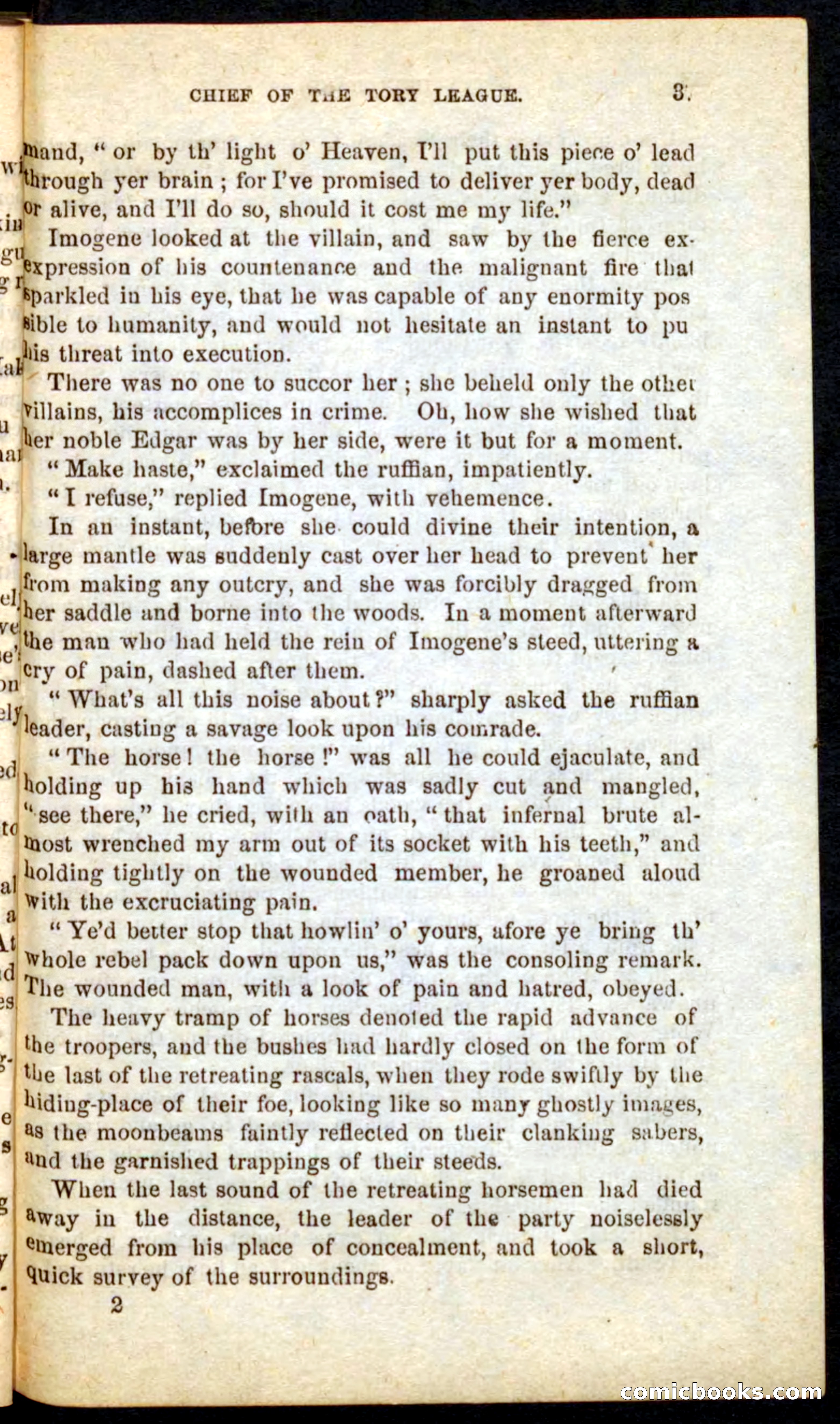 Beadle's Pocket Novels No. 68: Iron Hand, the Tory Chief — page 33 of 100