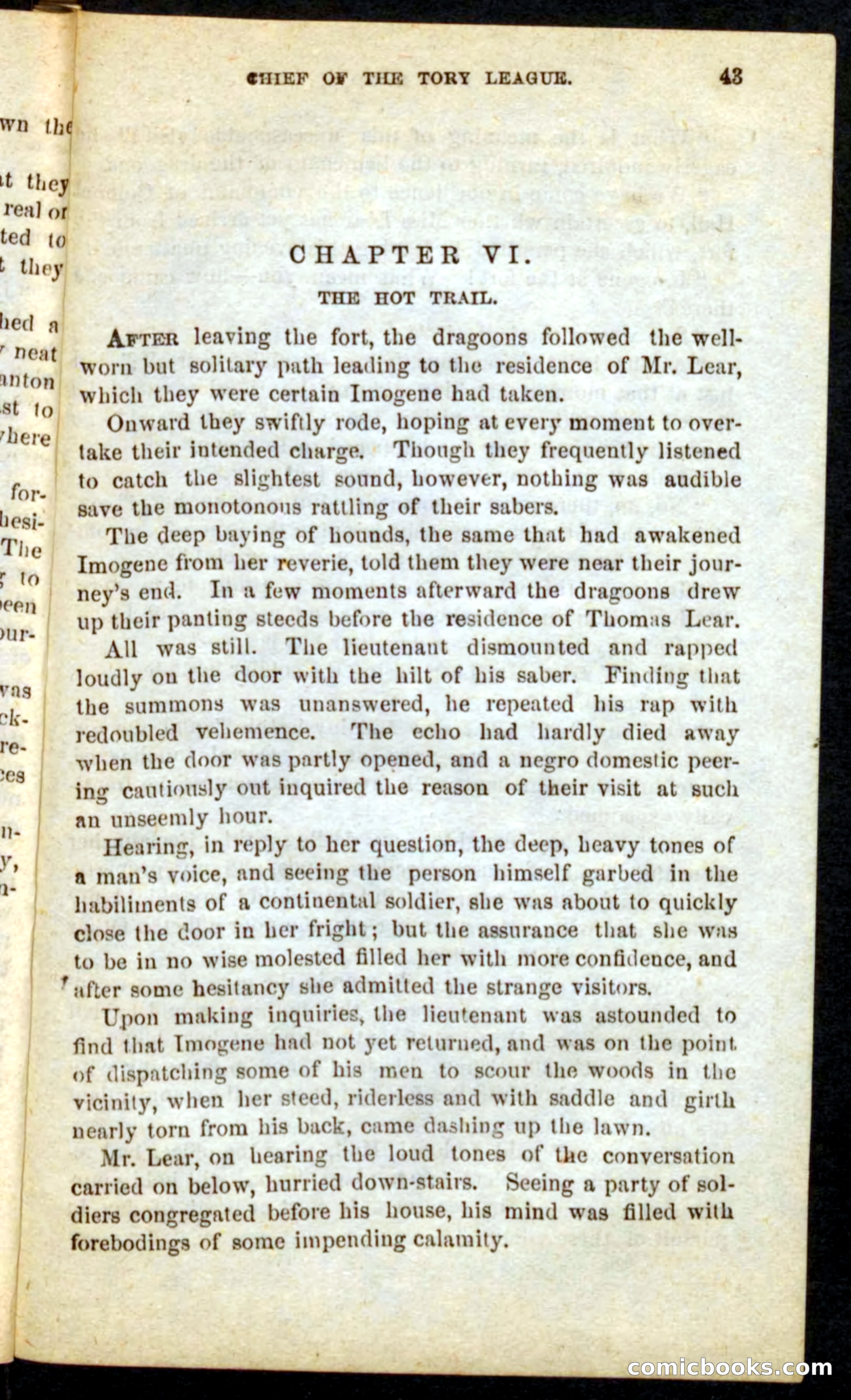 Beadle's Pocket Novels No. 68: Iron Hand, the Tory Chief — page 39 of 100