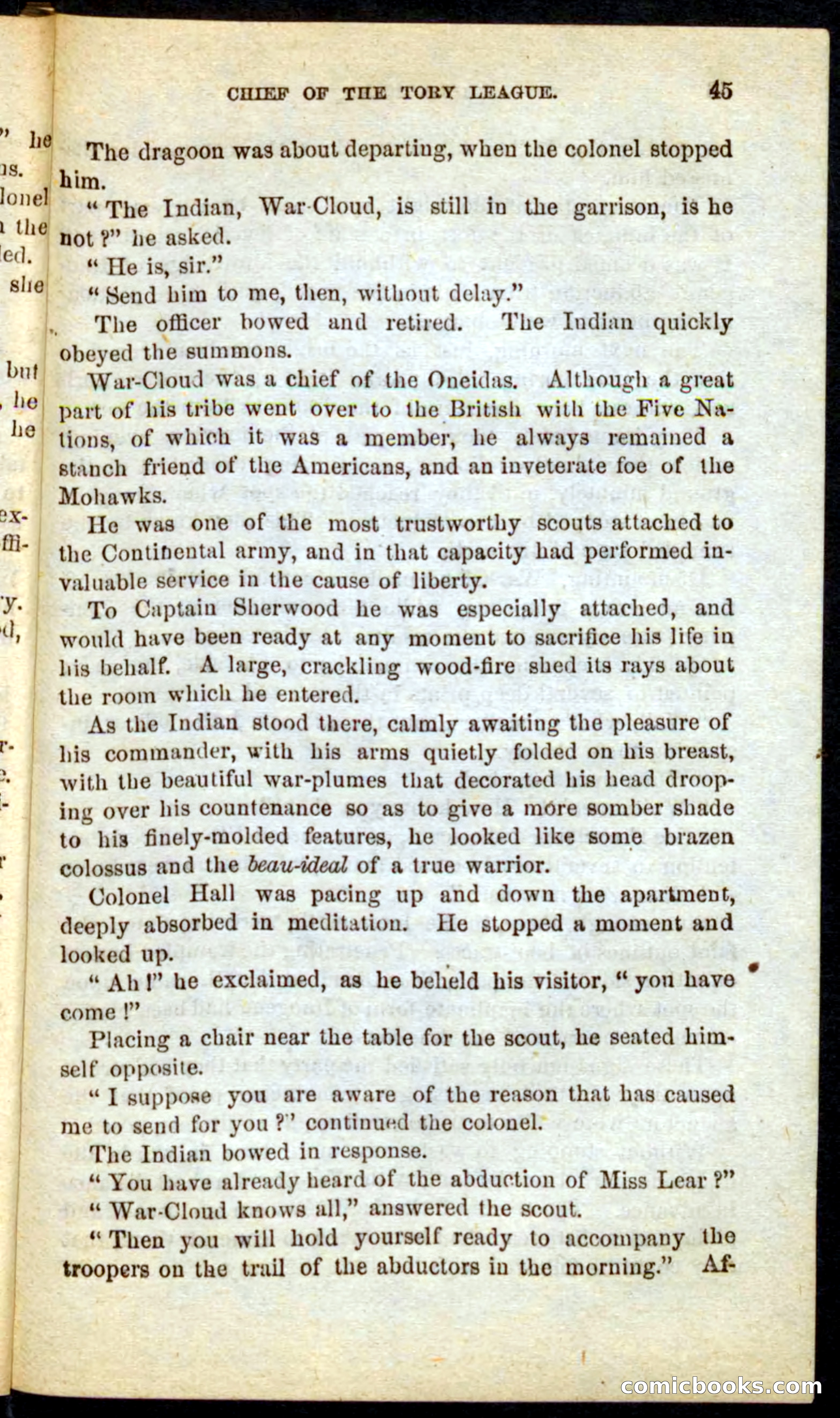 Beadle's Pocket Novels No. 68: Iron Hand, the Tory Chief — page 41 of 100