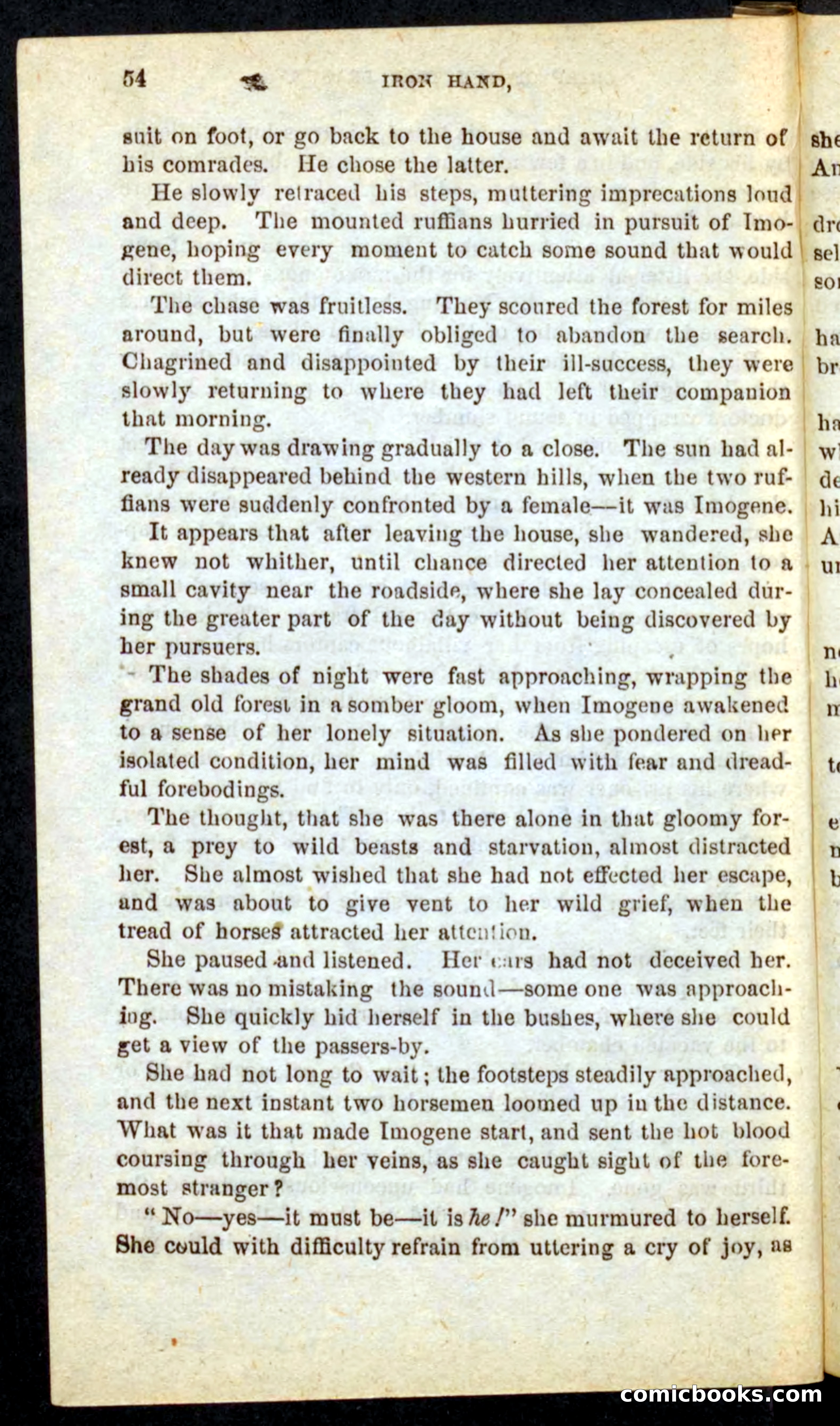 Beadle's Pocket Novels No. 68: Iron Hand, the Tory Chief — page 50 of 100