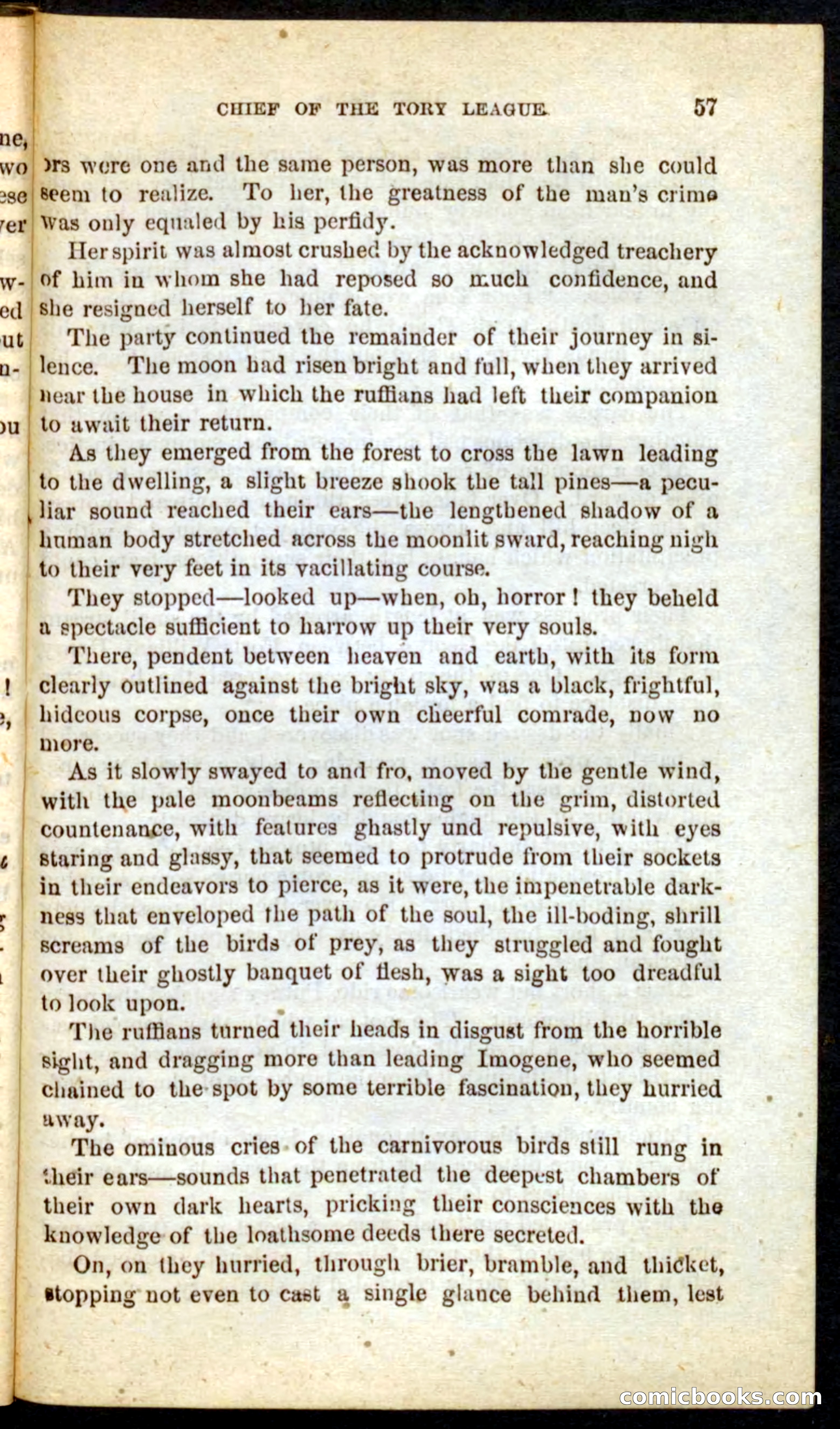 Beadle's Pocket Novels No. 68: Iron Hand, the Tory Chief — page 53 of 100