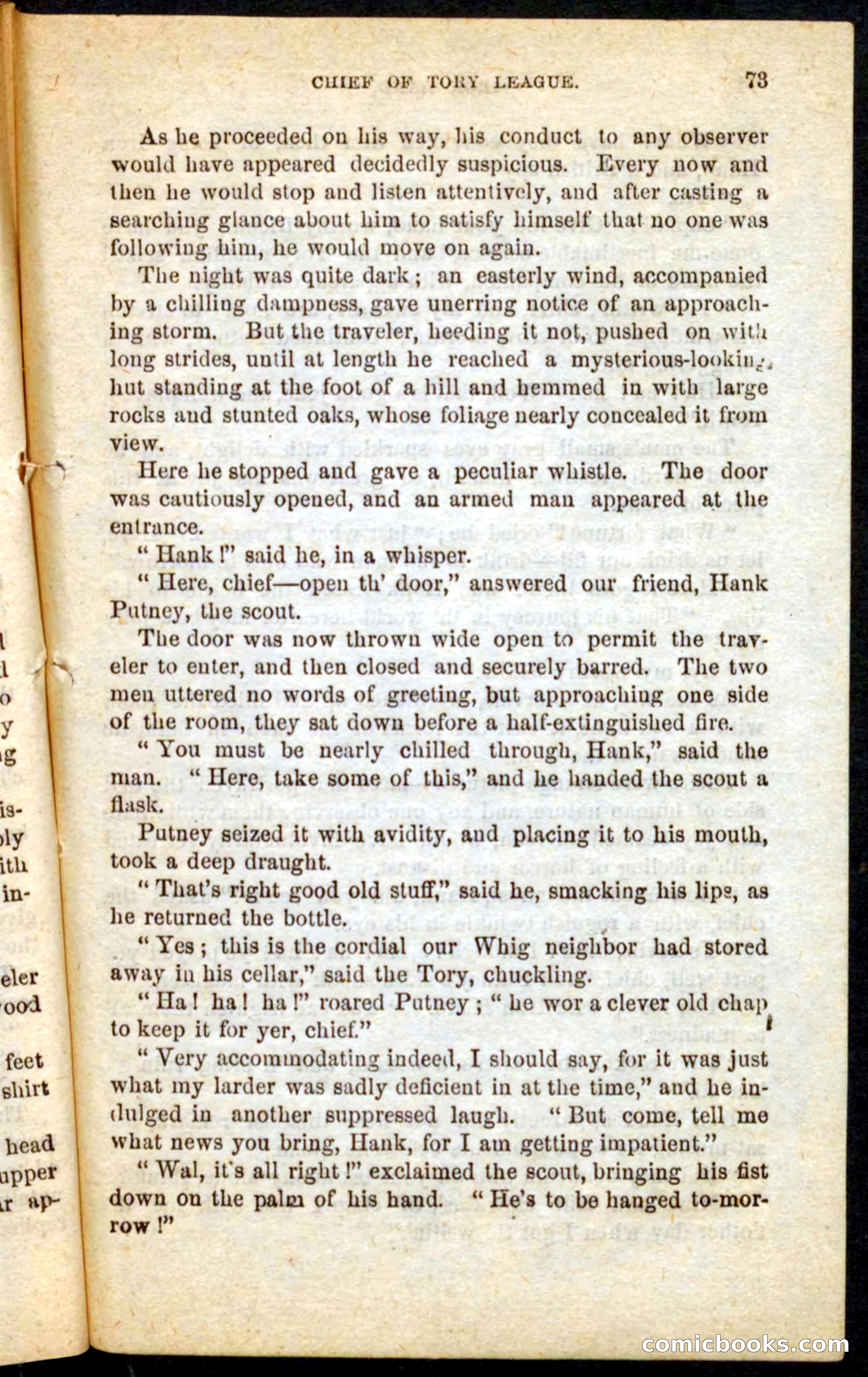 Beadle's Pocket Novels No. 68: Iron Hand, the Tory Chief — page 69 of 100