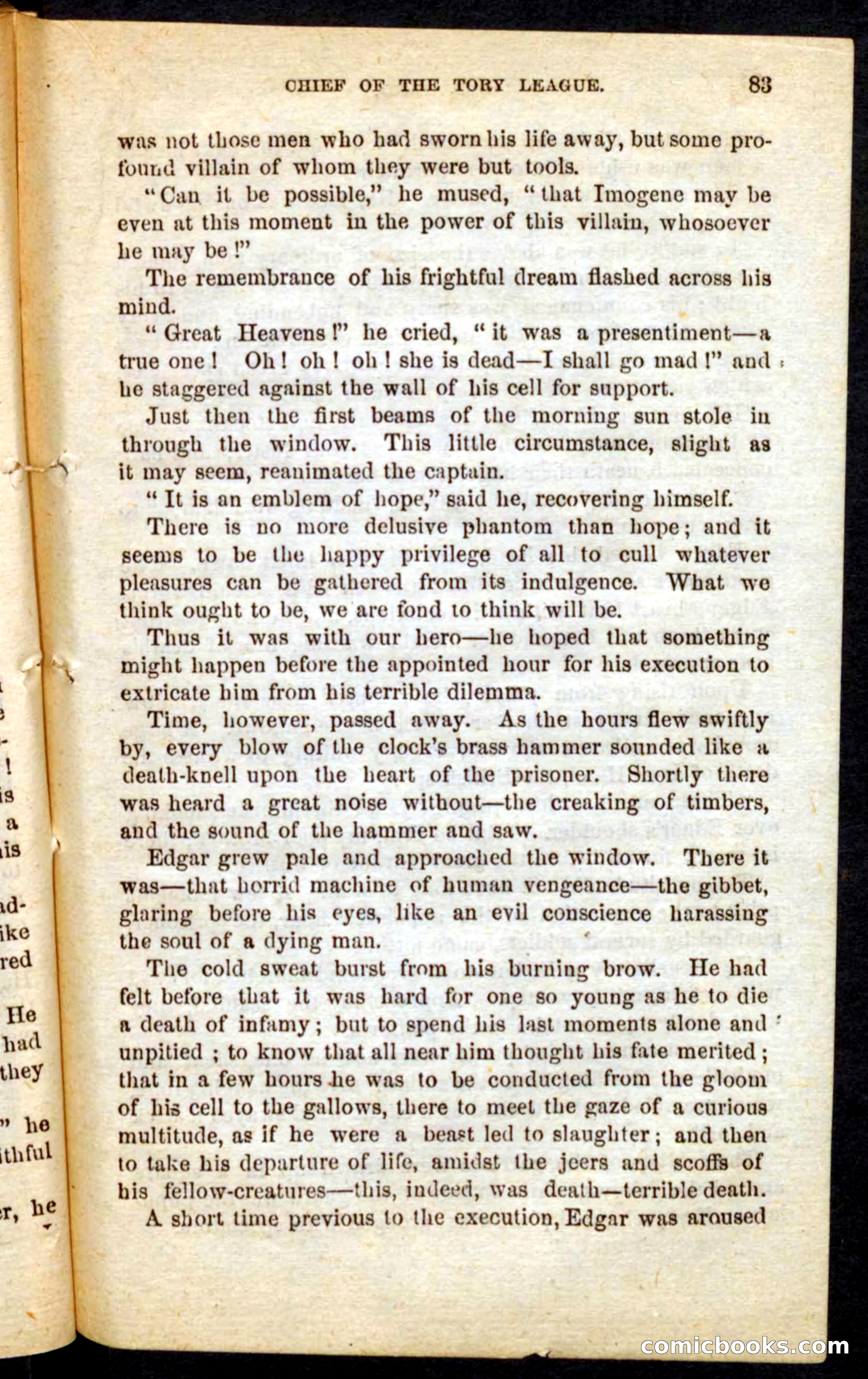 Beadle's Pocket Novels No. 68: Iron Hand, the Tory Chief — page 79 of 100