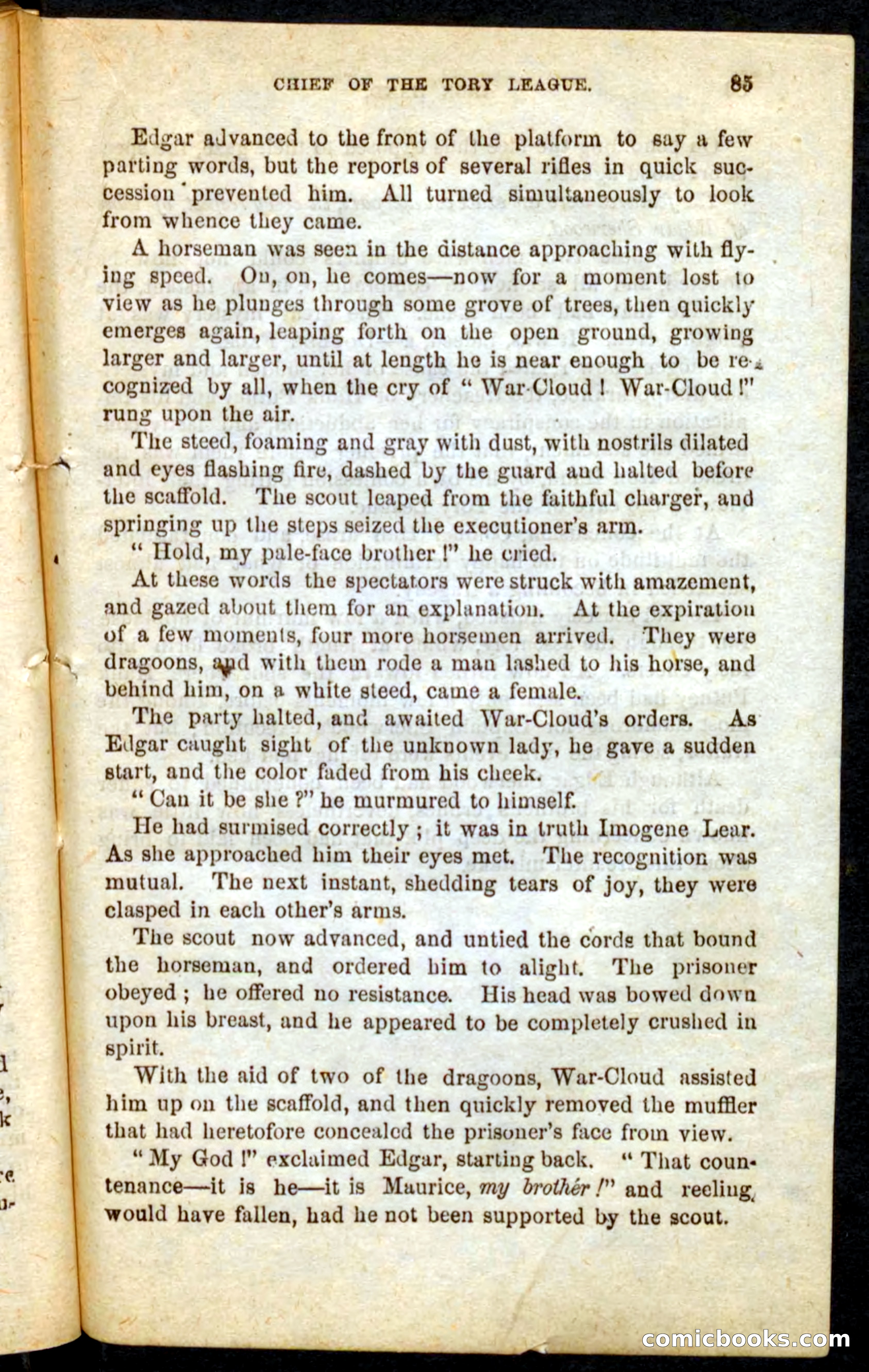 Beadle's Pocket Novels No. 68: Iron Hand, the Tory Chief — page 81 of 100