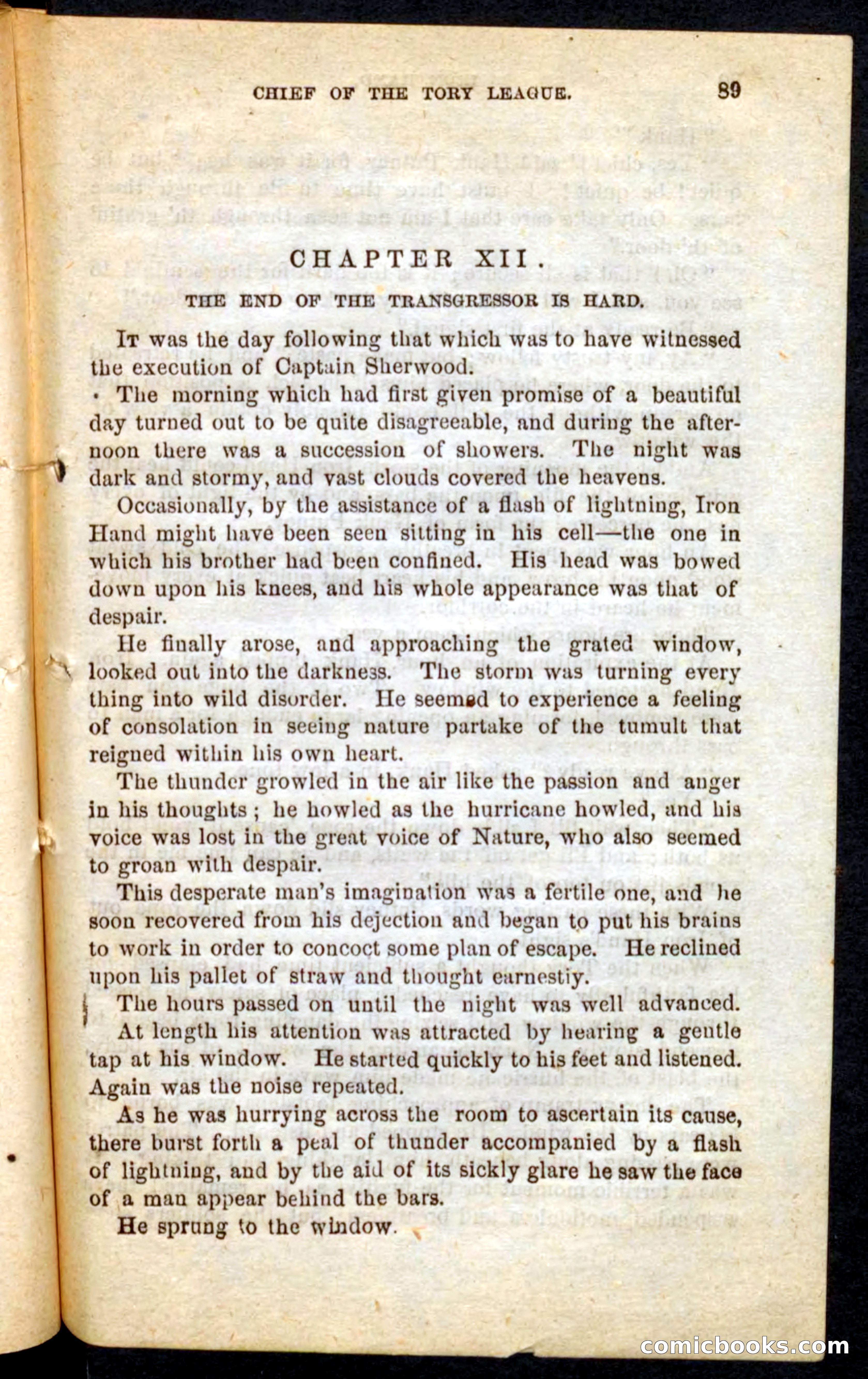 Beadle's Pocket Novels No. 68: Iron Hand, the Tory Chief — page 85 of 100