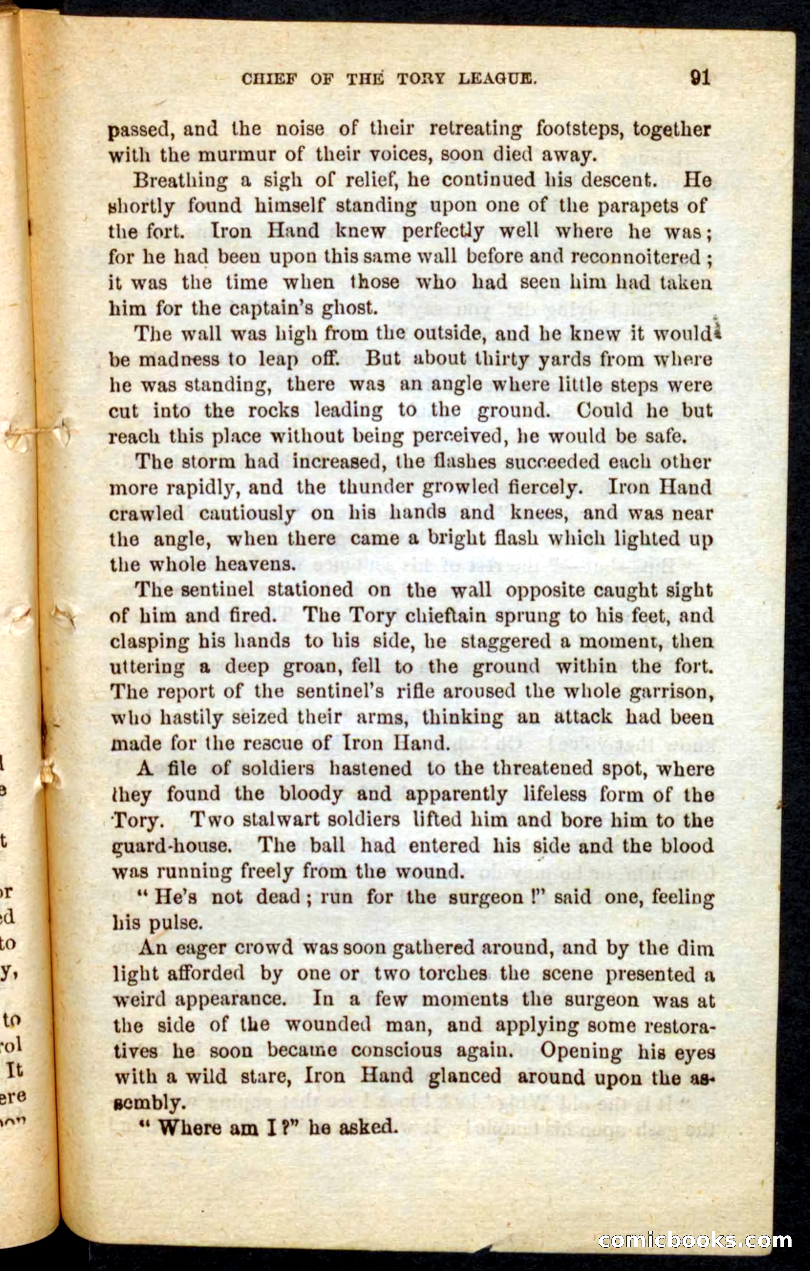 Beadle's Pocket Novels No. 68: Iron Hand, the Tory Chief — page 87 of 100