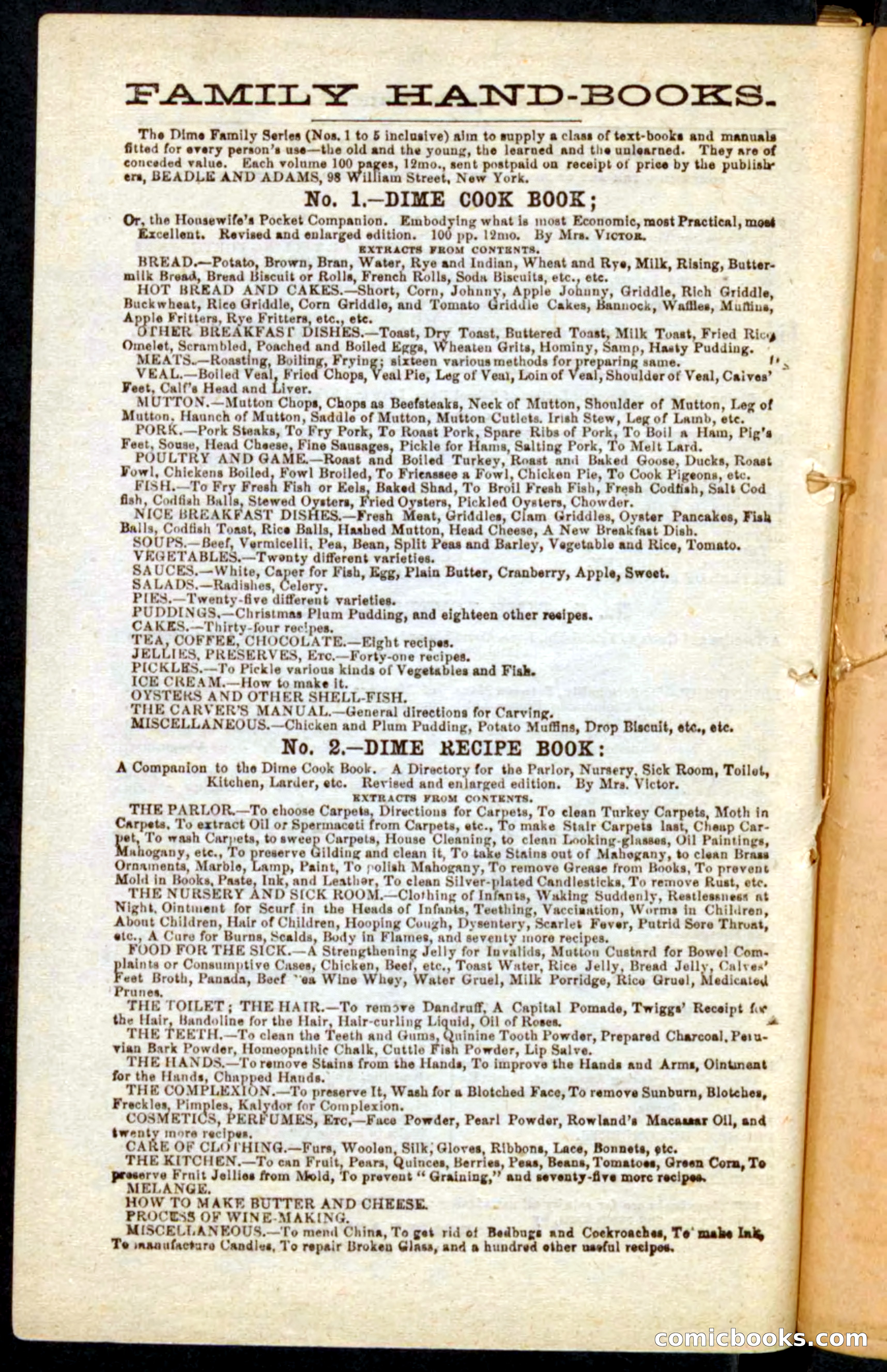 Beadle's Pocket Novels No. 68: Iron Hand, the Tory Chief — page 98 of 100