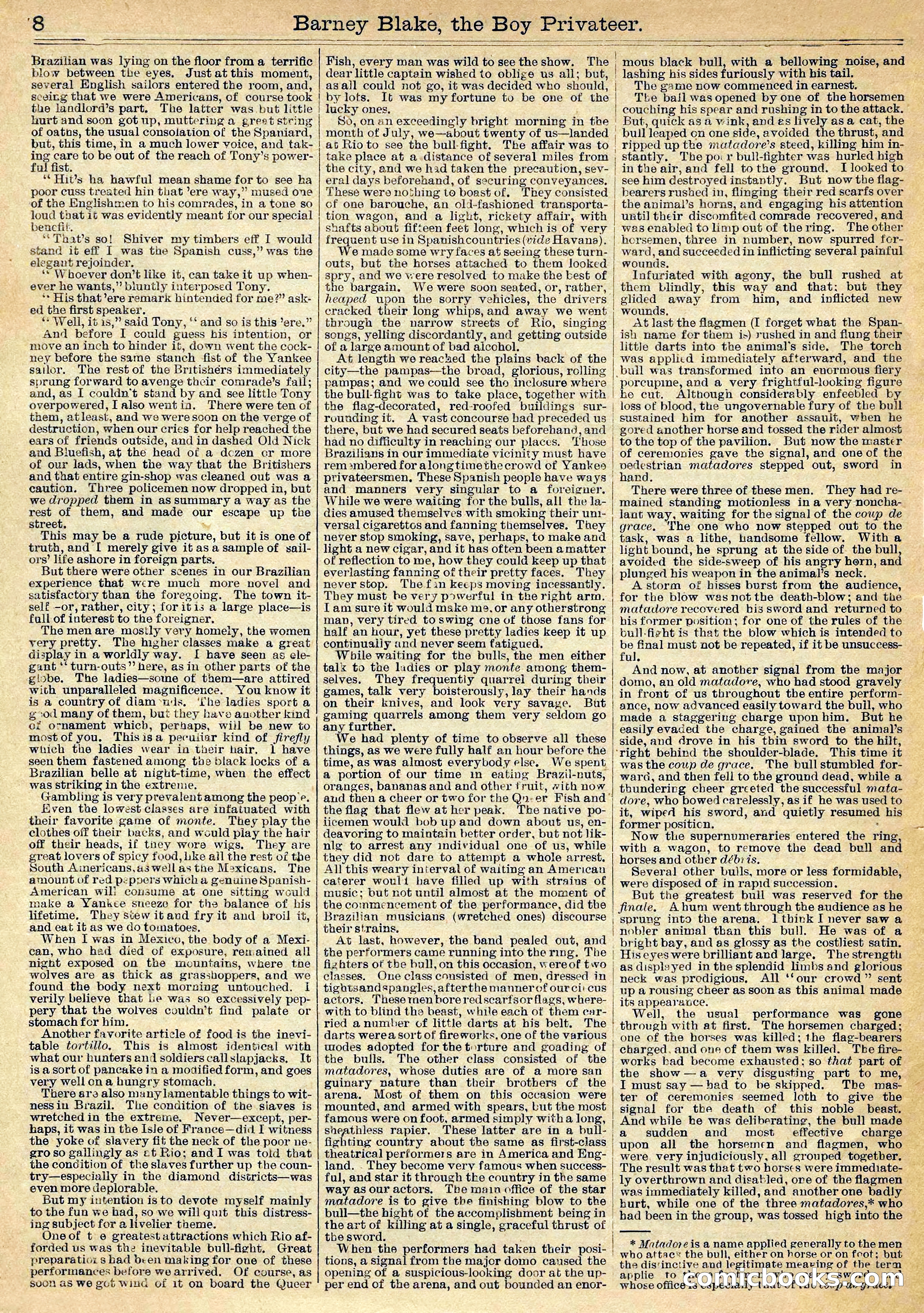 Beadle's Half Dime Library Vol. XL, No. 1020 — page 8 of 16