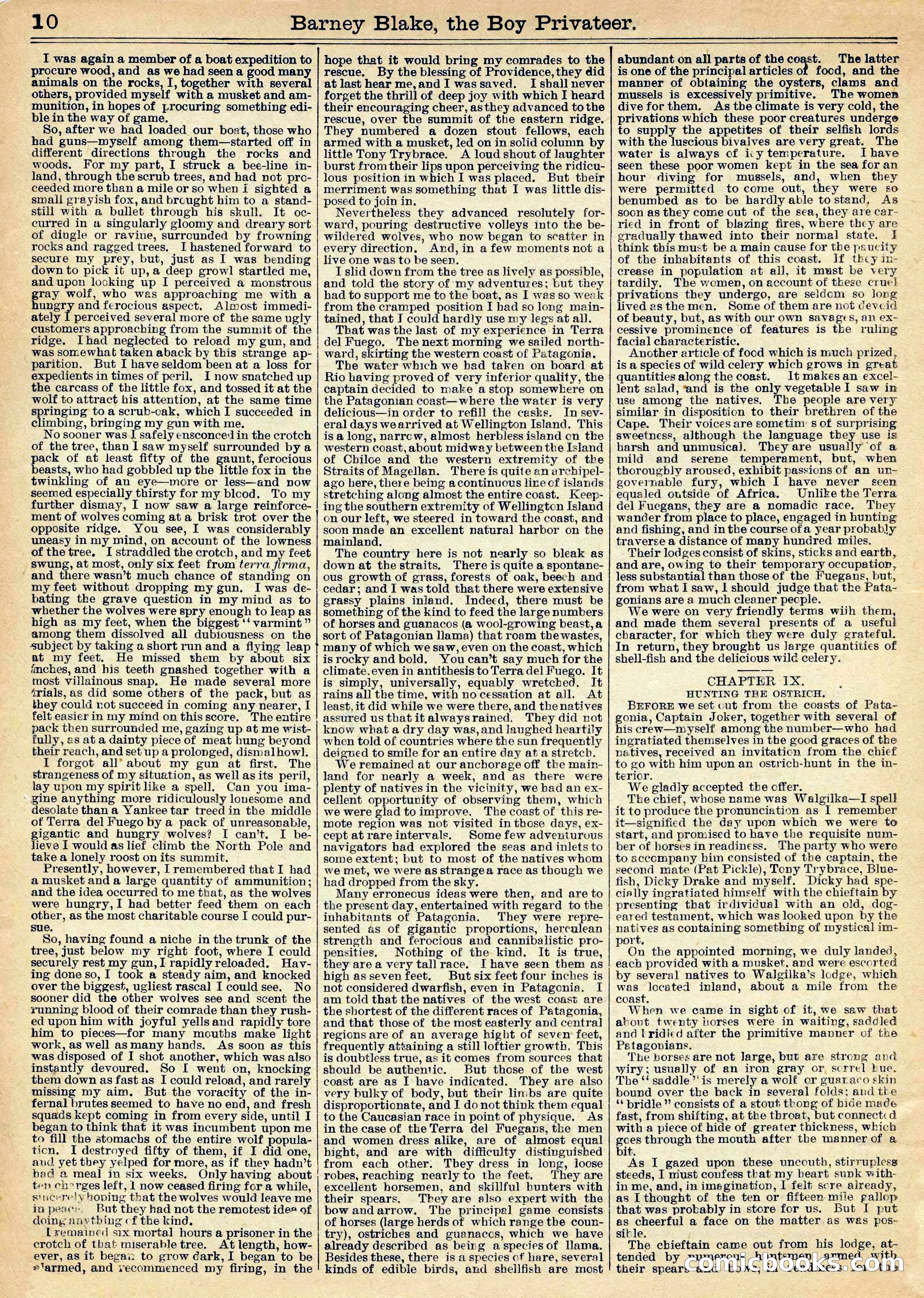 Beadle's Half Dime Library Vol. XL, No. 1020 — page 10 of 16
