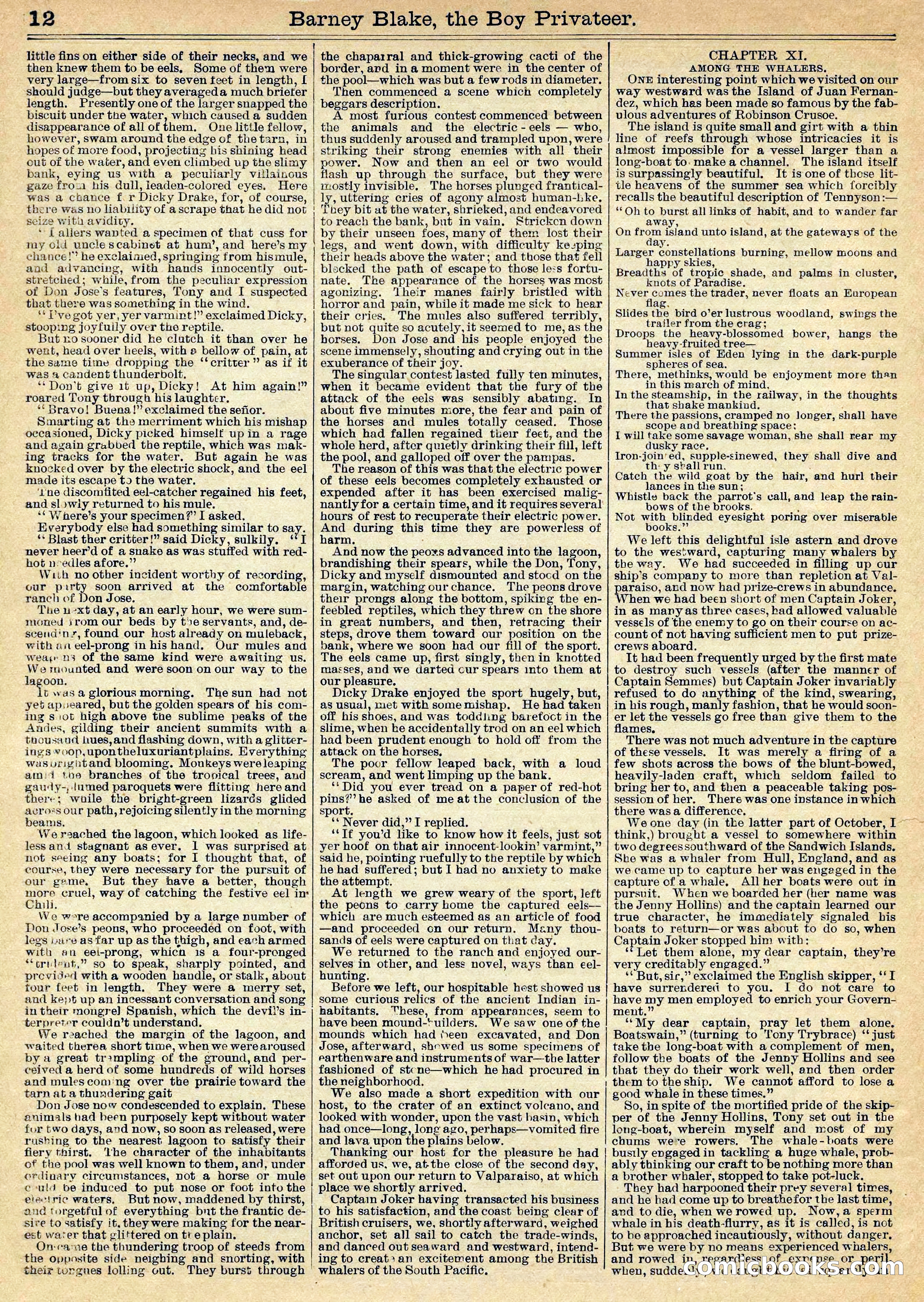 Beadle's Half Dime Library Vol. XL, No. 1020 — page 12 of 16