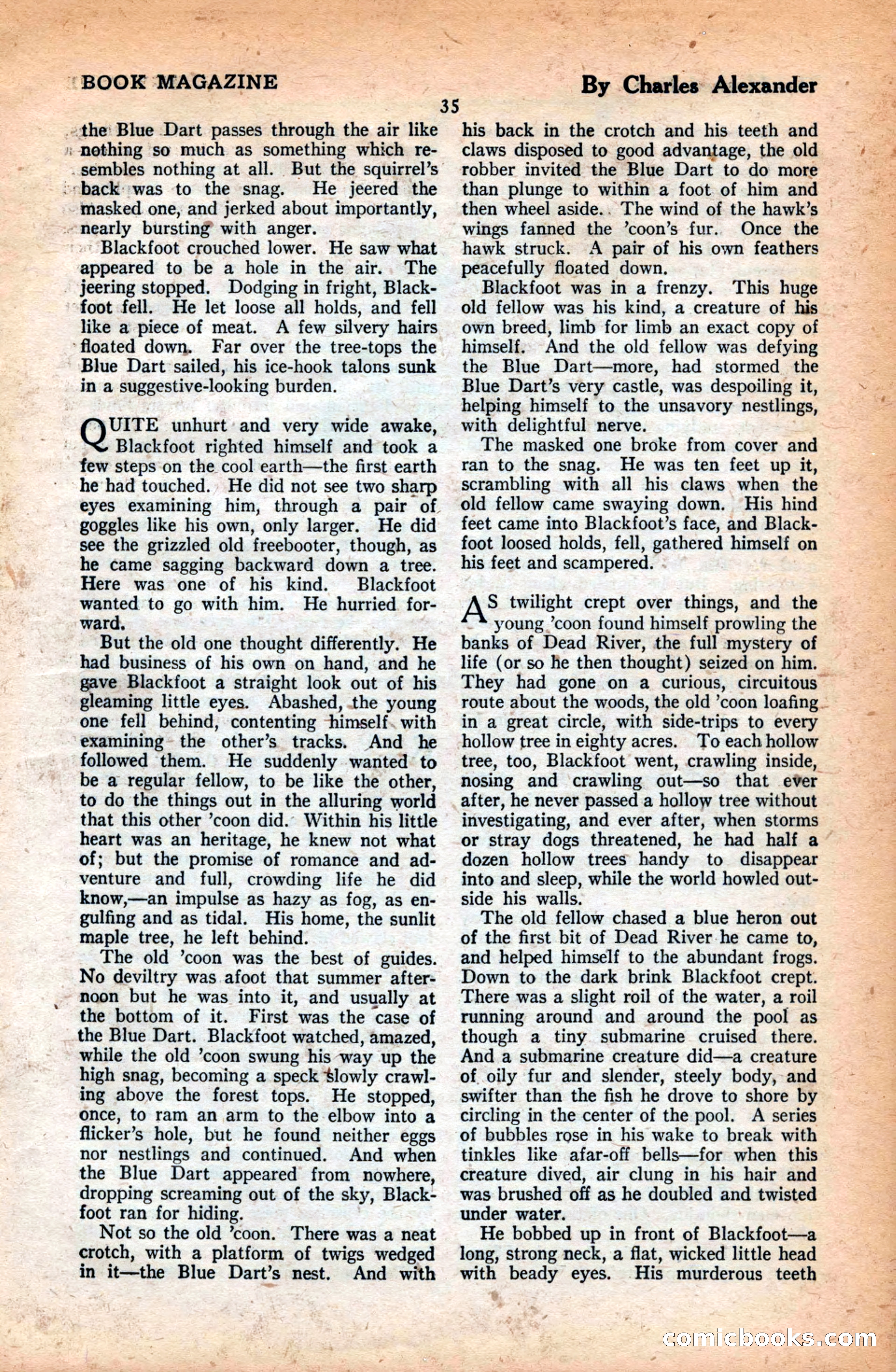The Blue Book Magazine, June 1923 — page 41 of 212