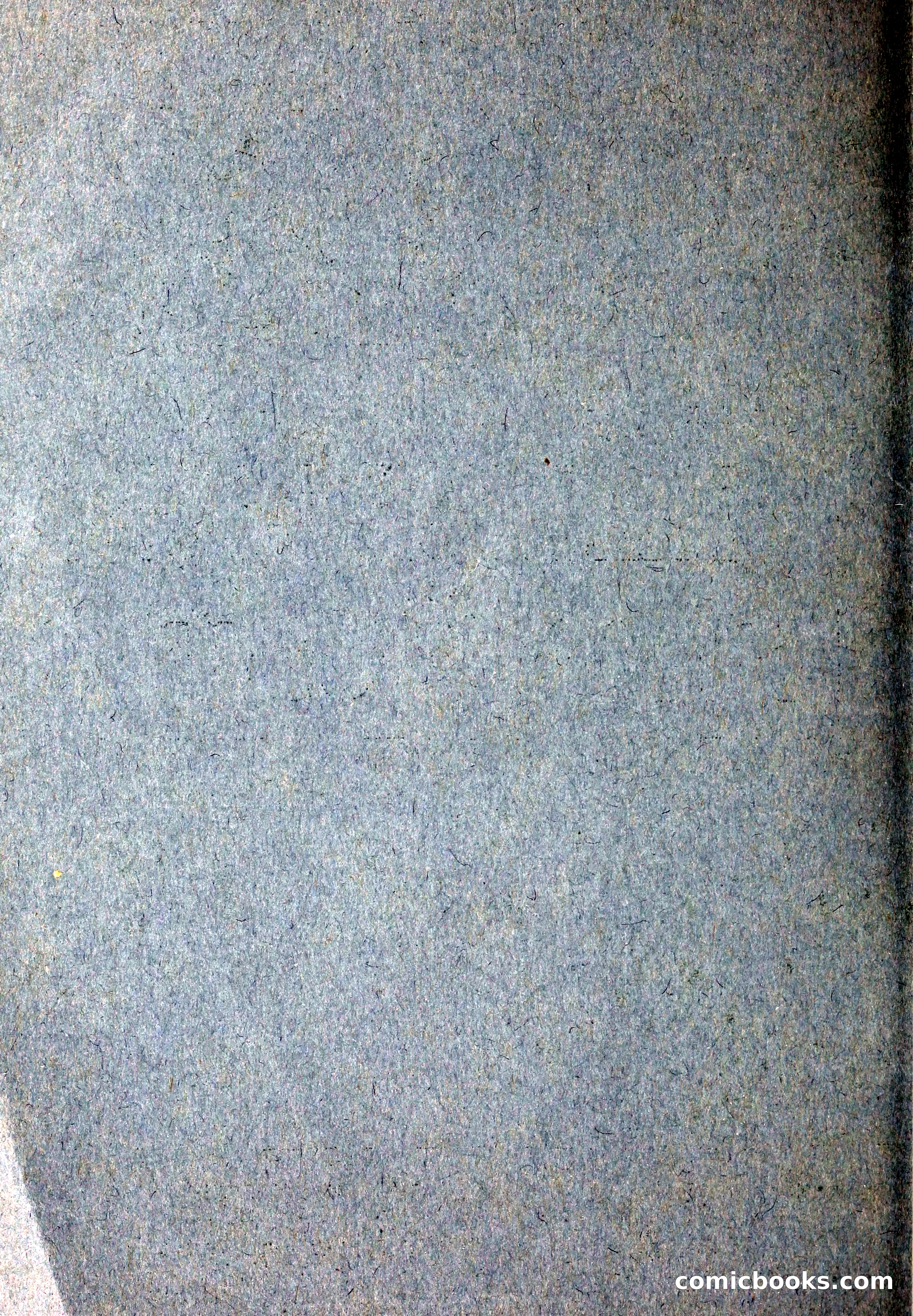 Blue Book of Flower Seeds and Gladioli — page 5 of 64