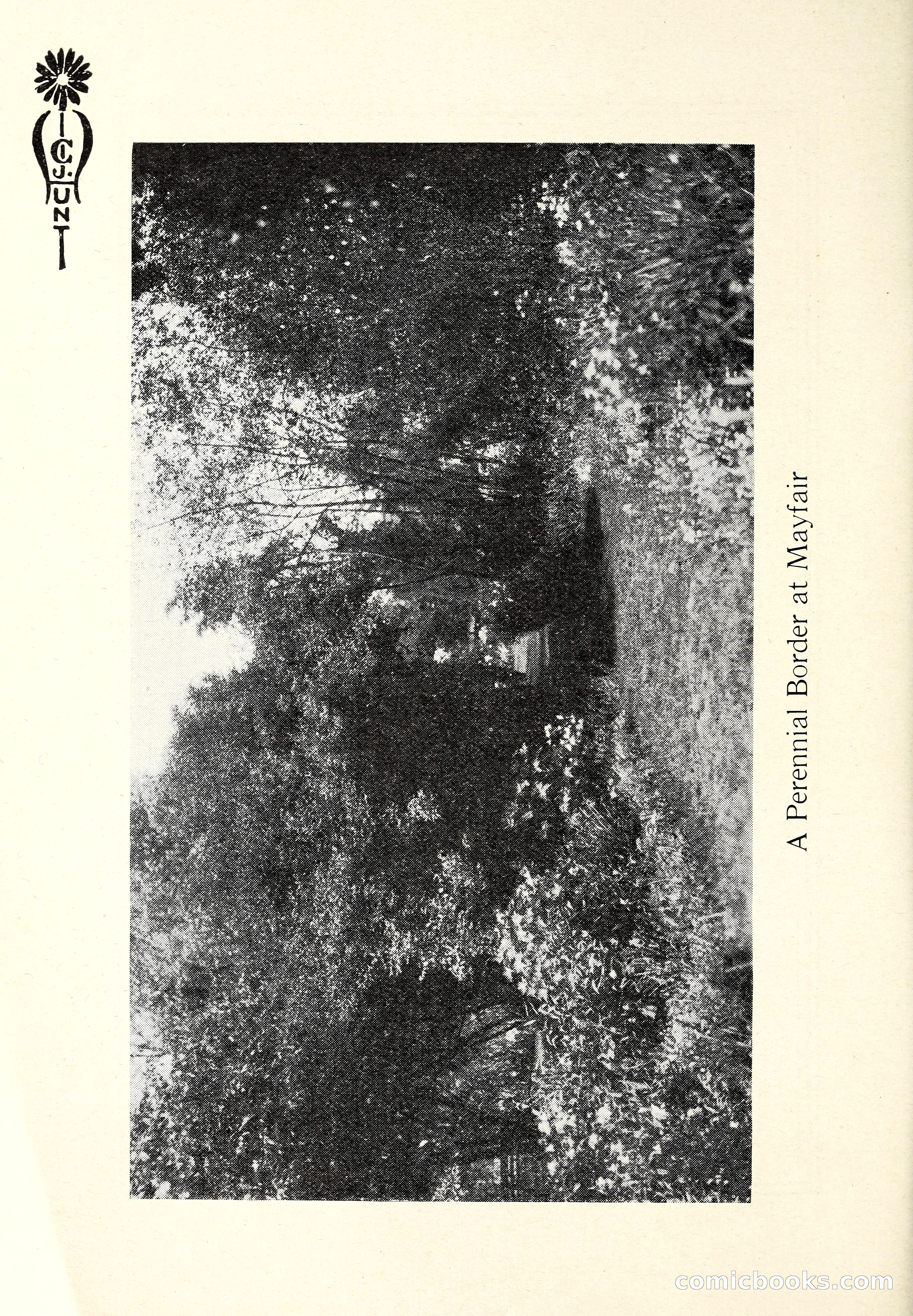 Blue Book of Flower Seeds and Gladioli — page 7 of 64