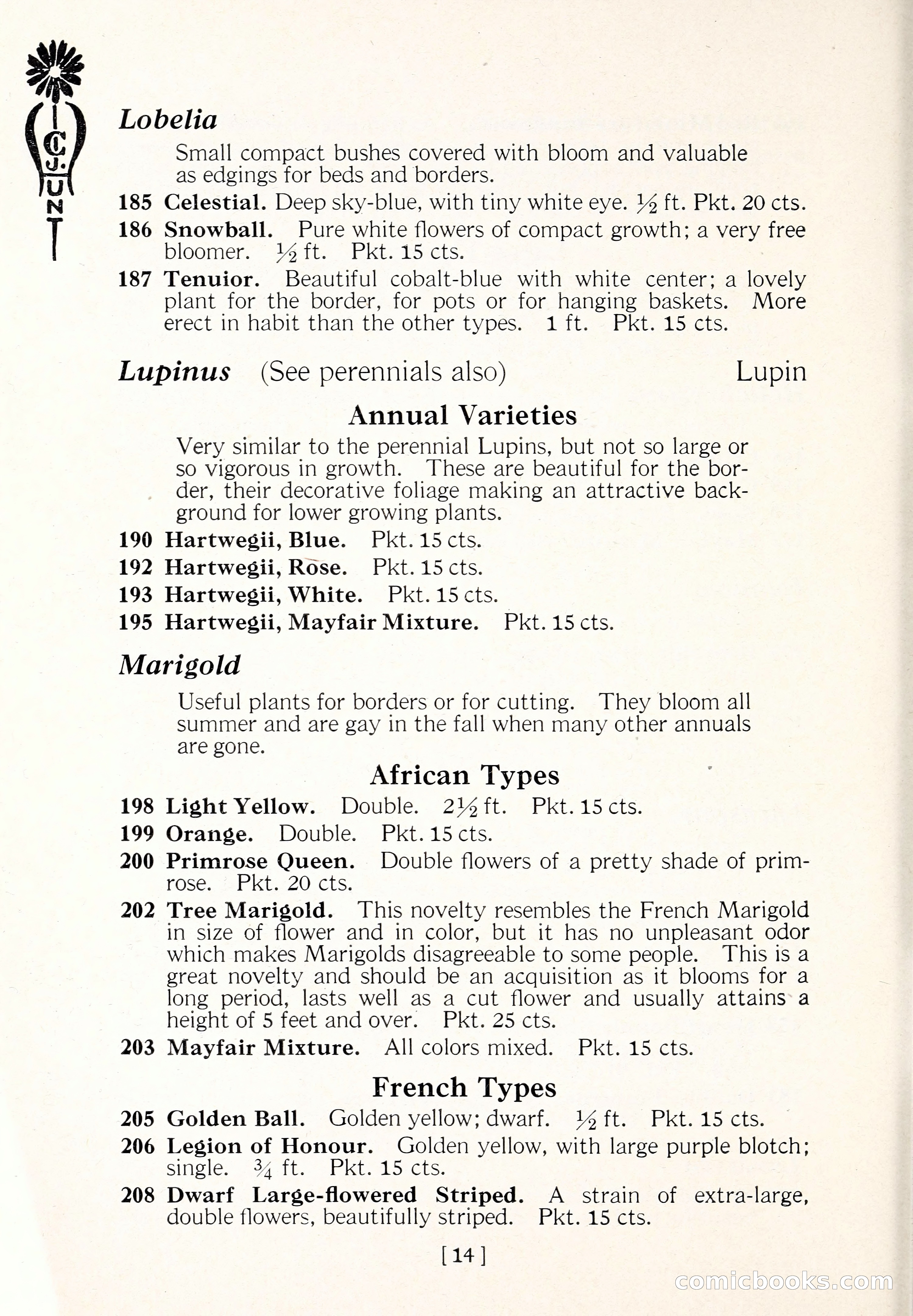 Blue Book of Flower Seeds and Gladioli — page 19 of 64