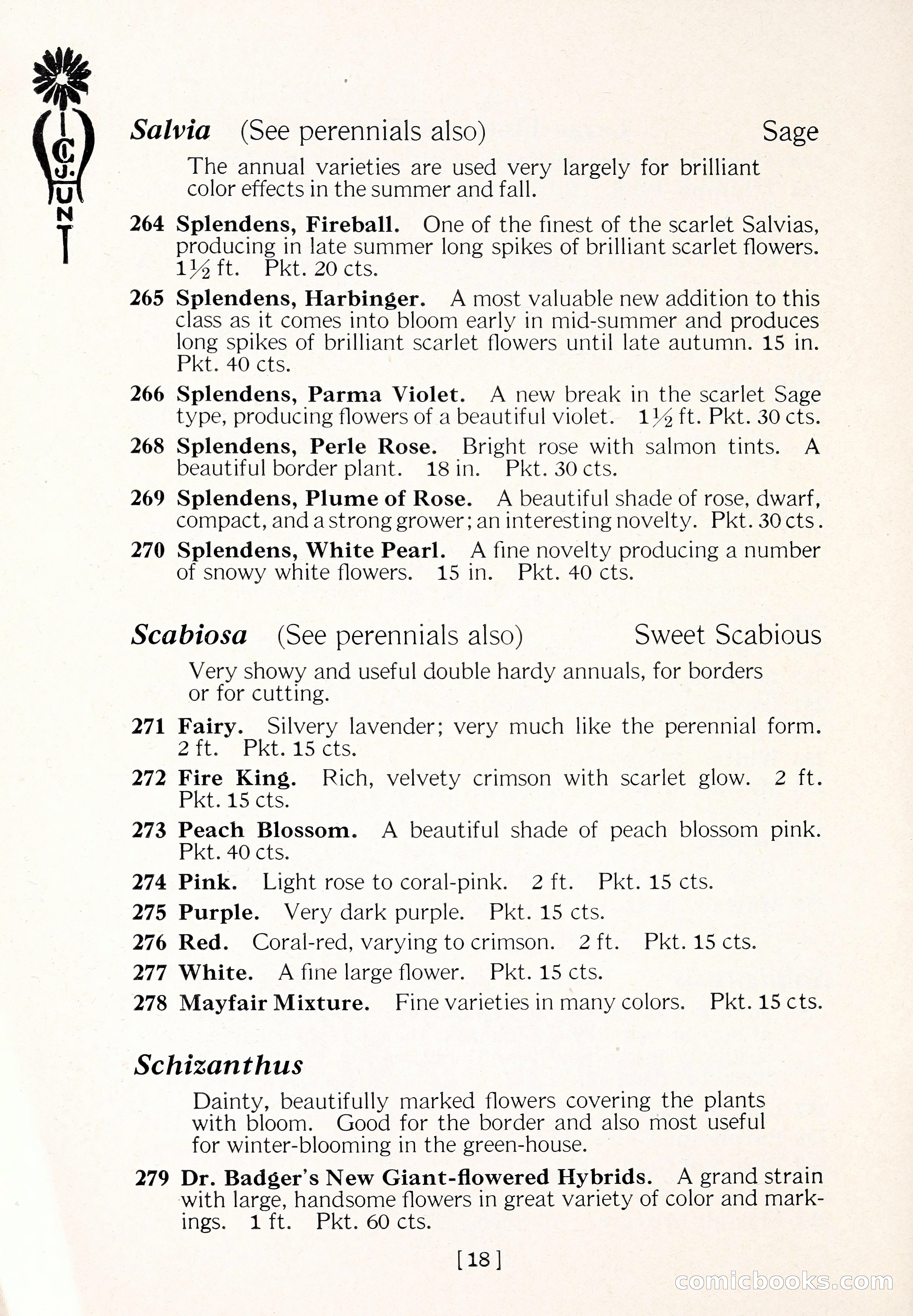 Blue Book of Flower Seeds and Gladioli — page 23 of 64