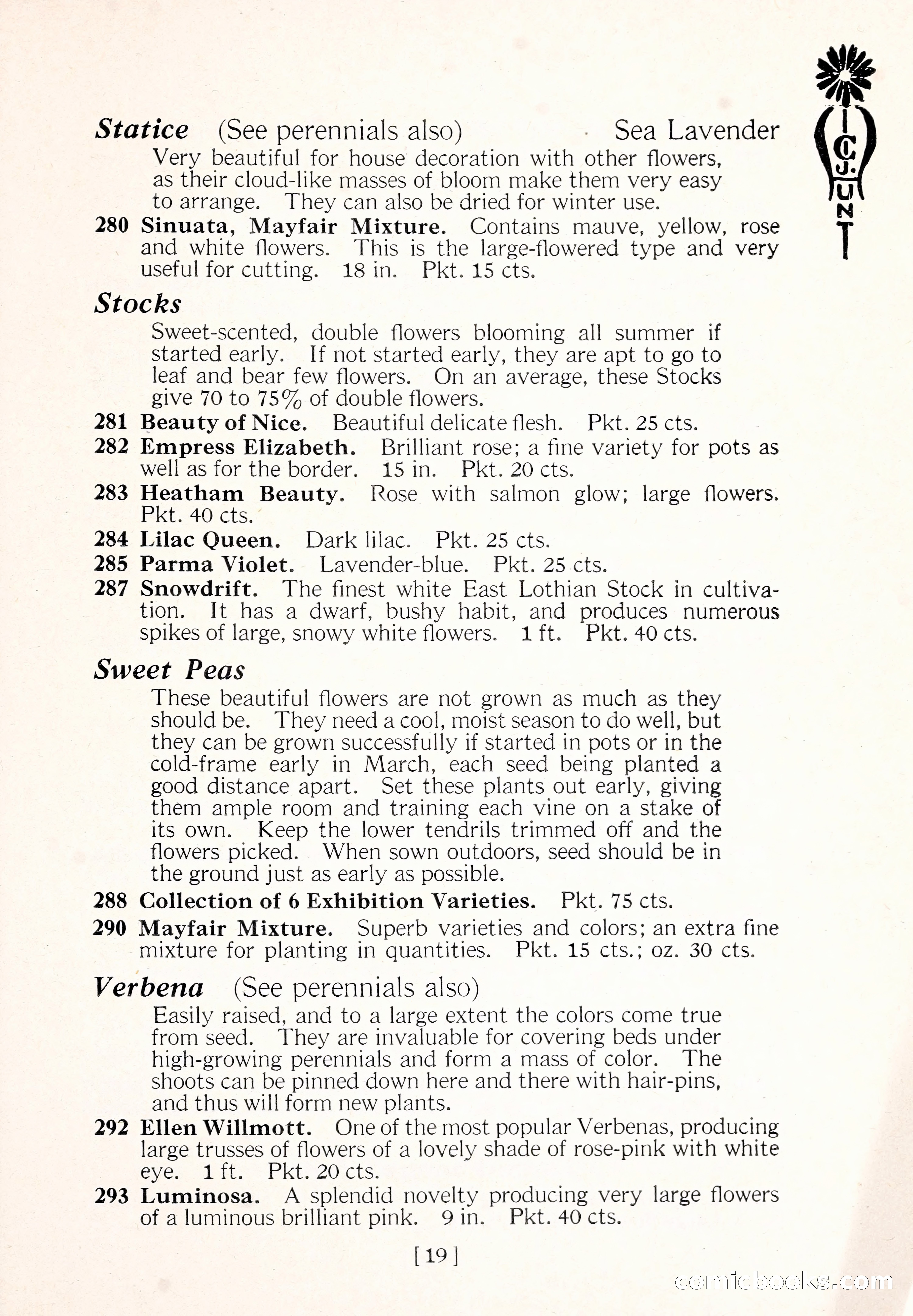 Blue Book of Flower Seeds and Gladioli — page 24 of 64