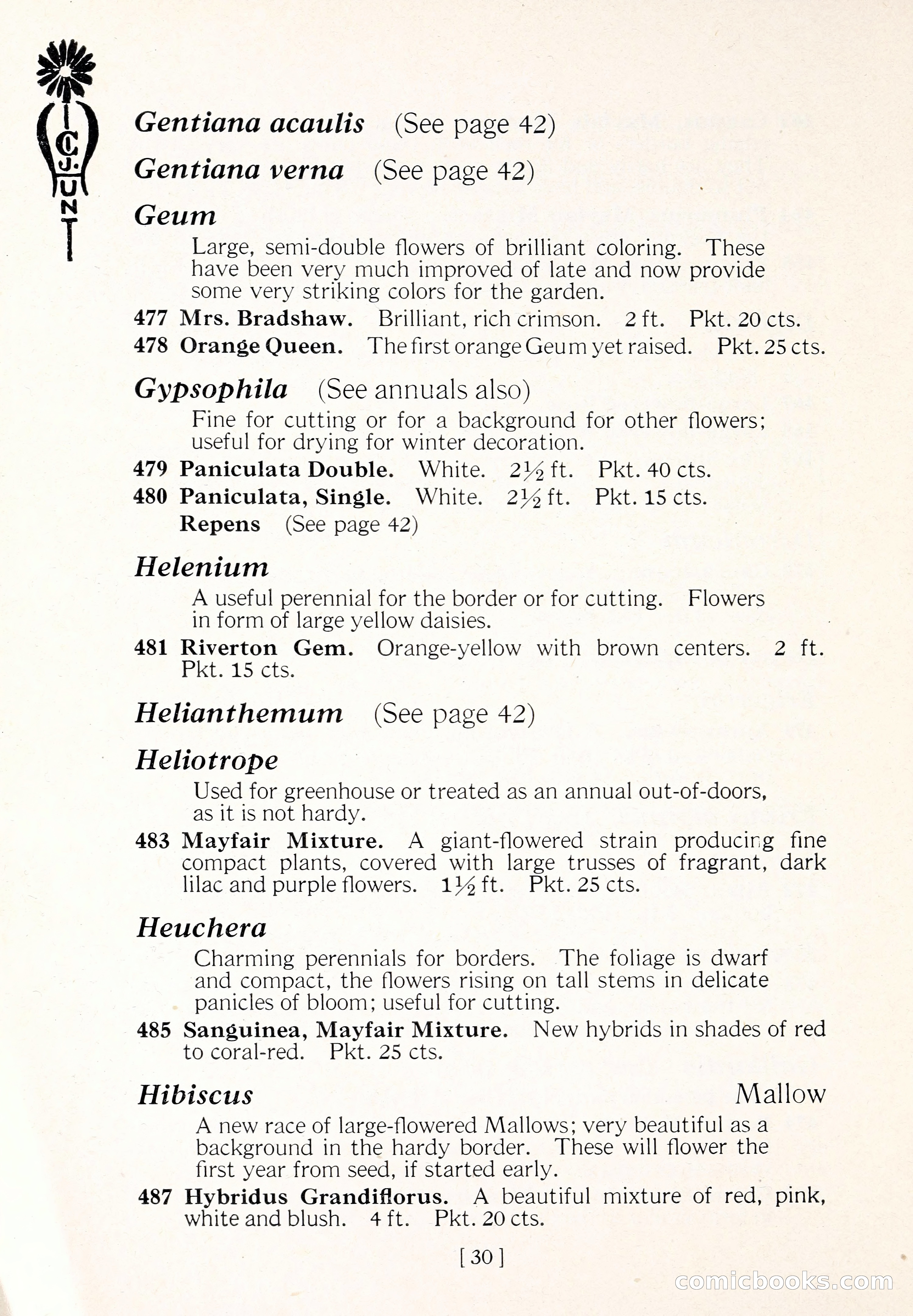 Blue Book of Flower Seeds and Gladioli — page 35 of 64