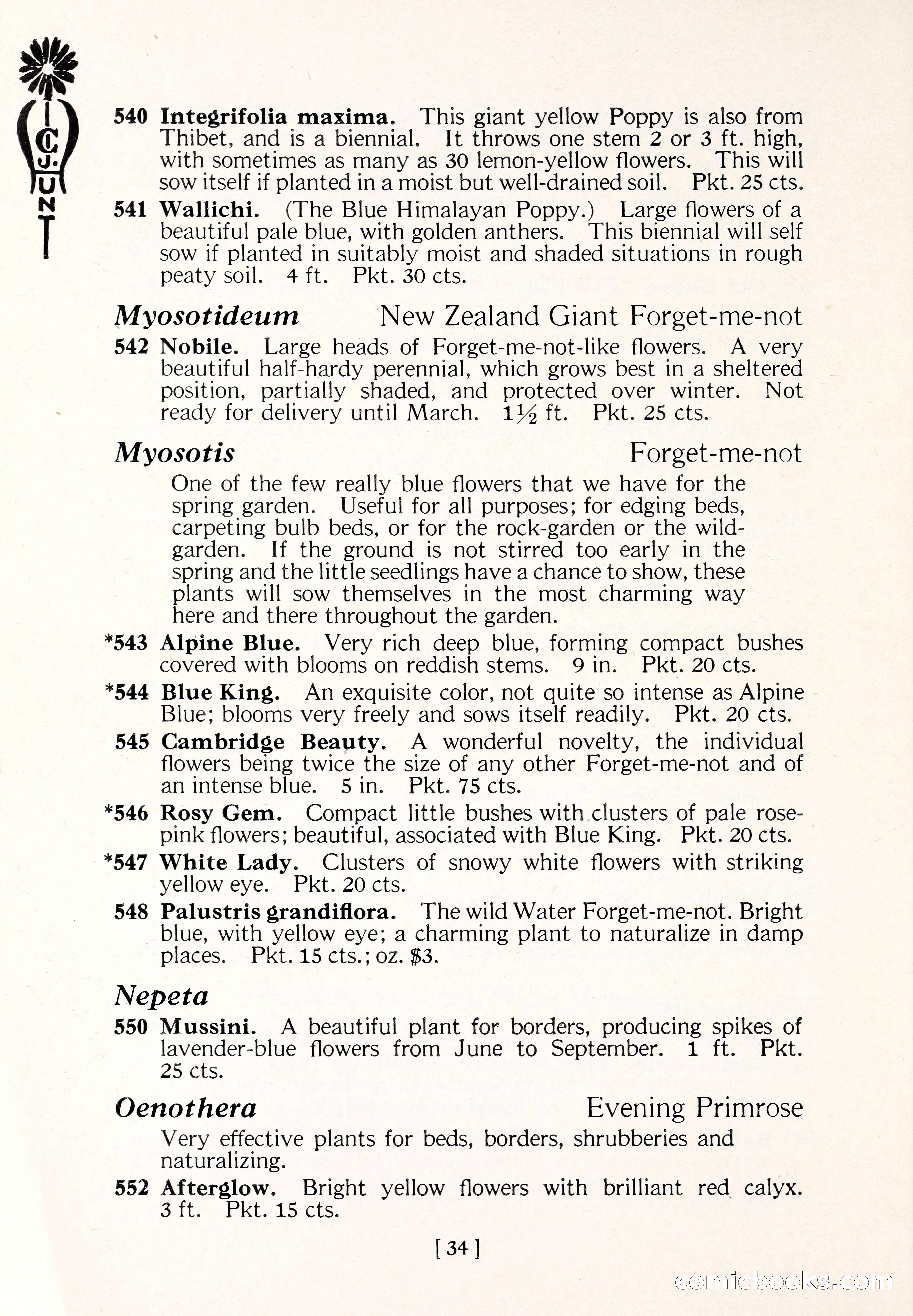 Blue Book of Flower Seeds and Gladioli — page 39 of 64