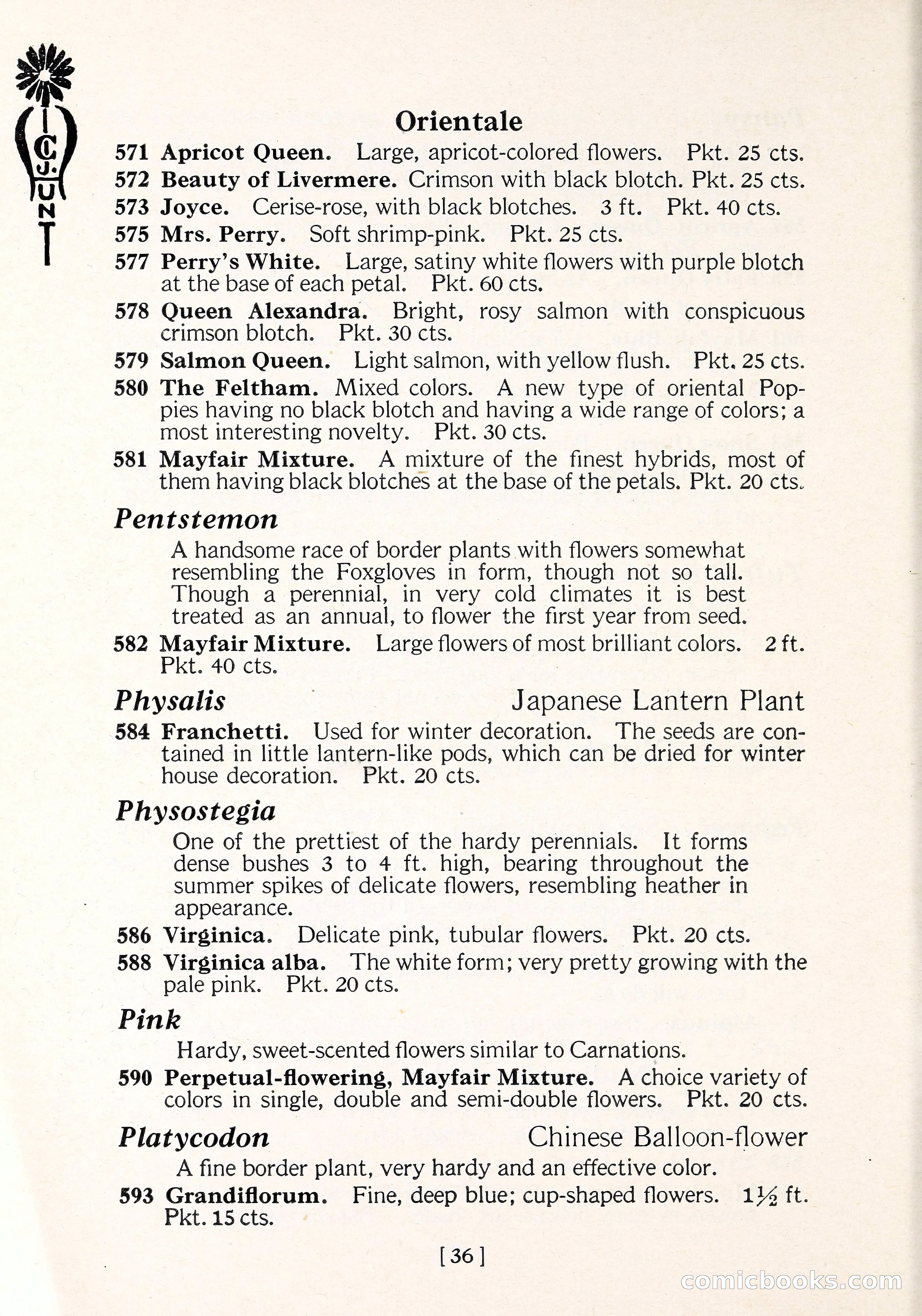 Blue Book of Flower Seeds and Gladioli — page 41 of 64