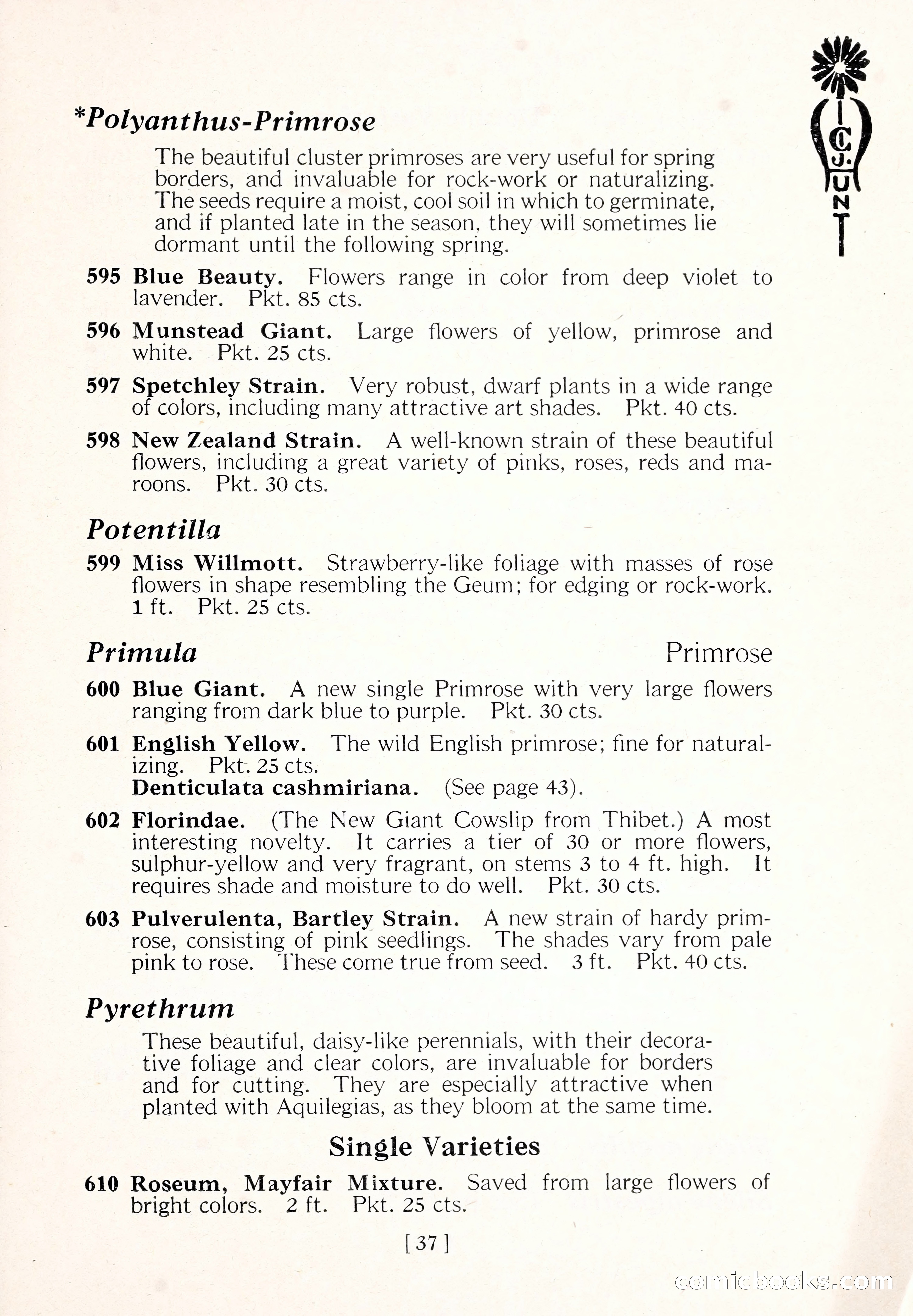 Blue Book of Flower Seeds and Gladioli — page 42 of 64