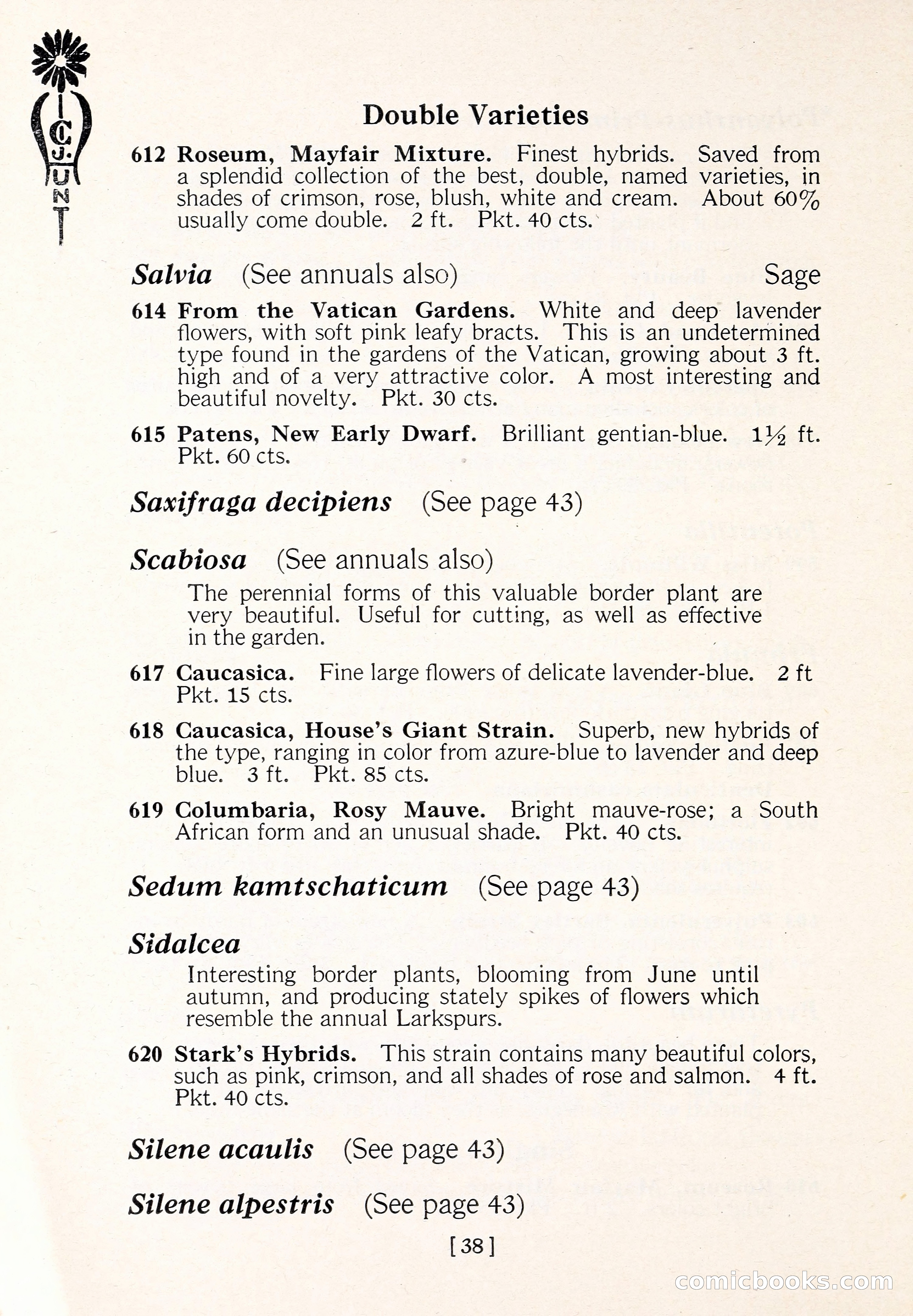 Blue Book of Flower Seeds and Gladioli — page 43 of 64