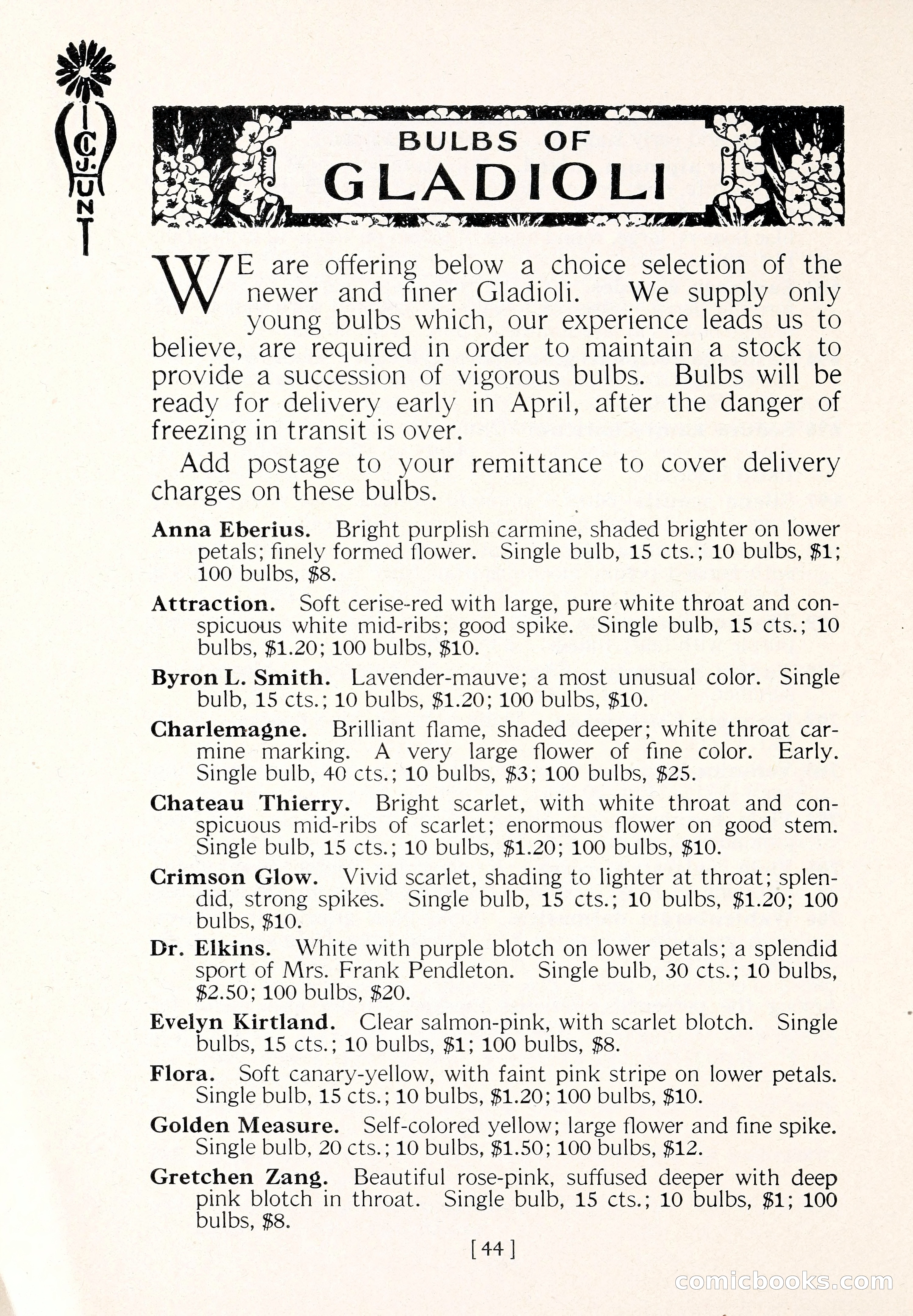 Blue Book of Flower Seeds and Gladioli — page 49 of 64
