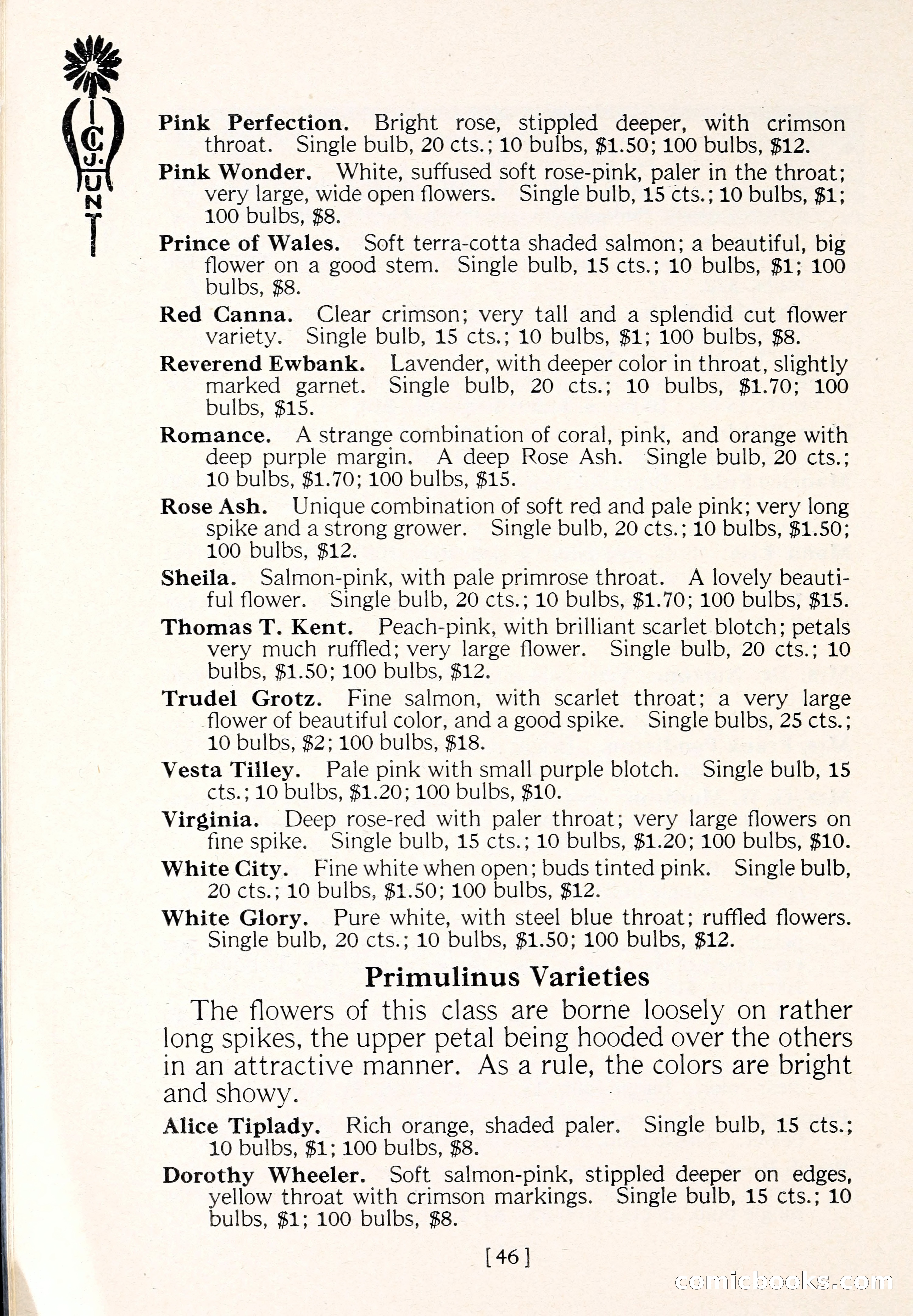 Blue Book of Flower Seeds and Gladioli — page 51 of 64