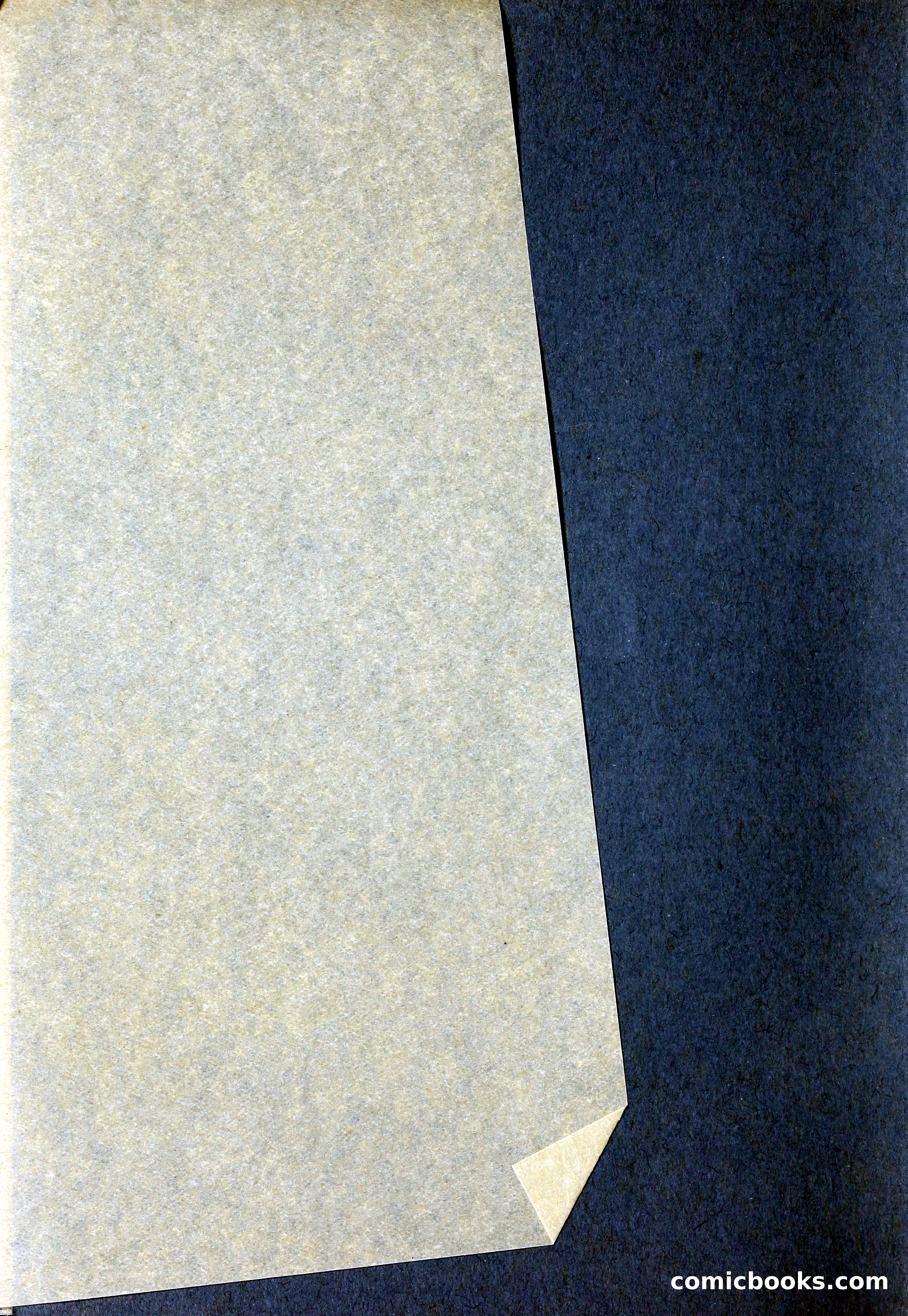 Blue Book of Bulbs, 1929 — page 5 of 128