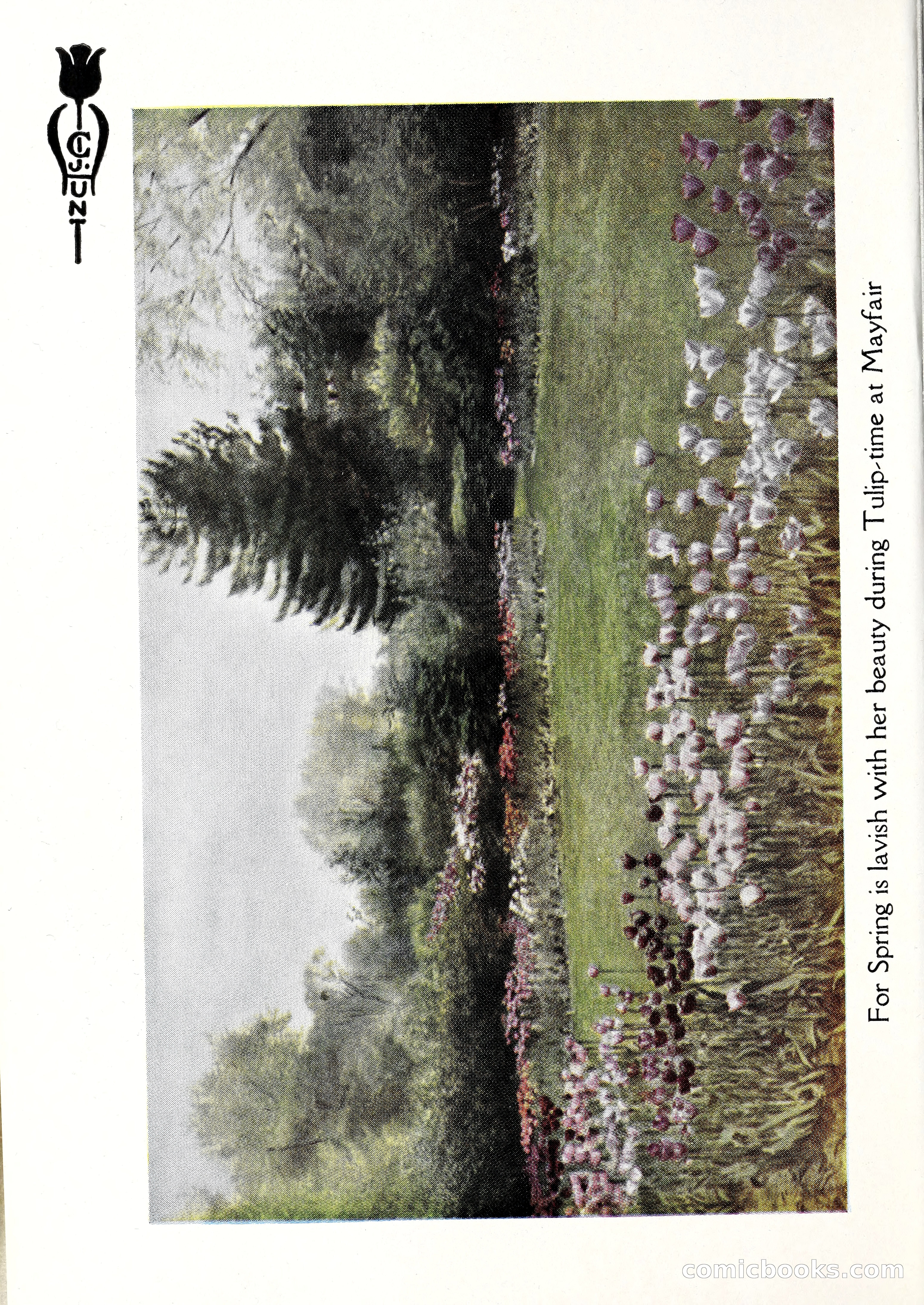 Blue Book of Bulbs, 1929 — page 7 of 128