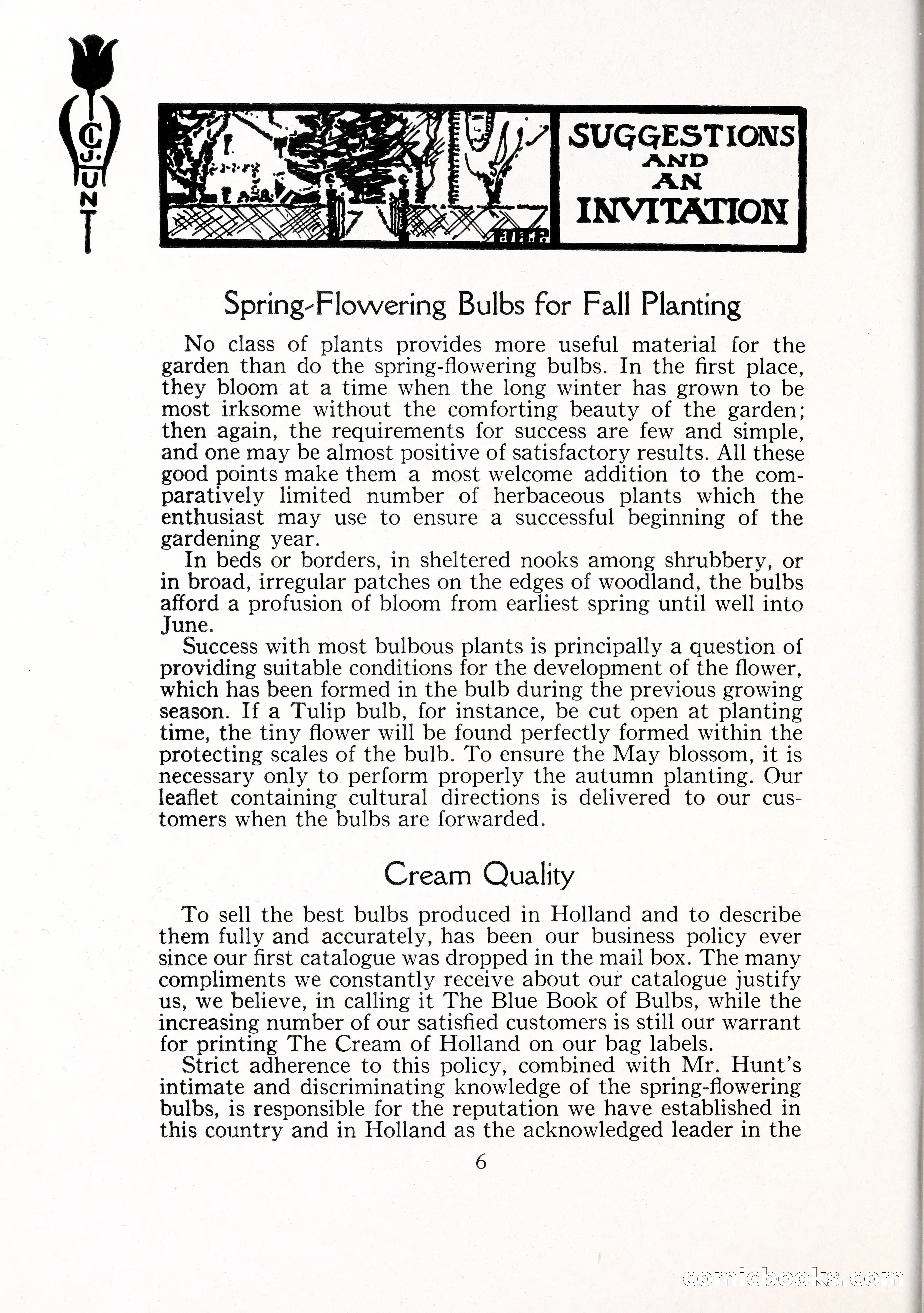 Blue Book of Bulbs, 1929 — page 11 of 128