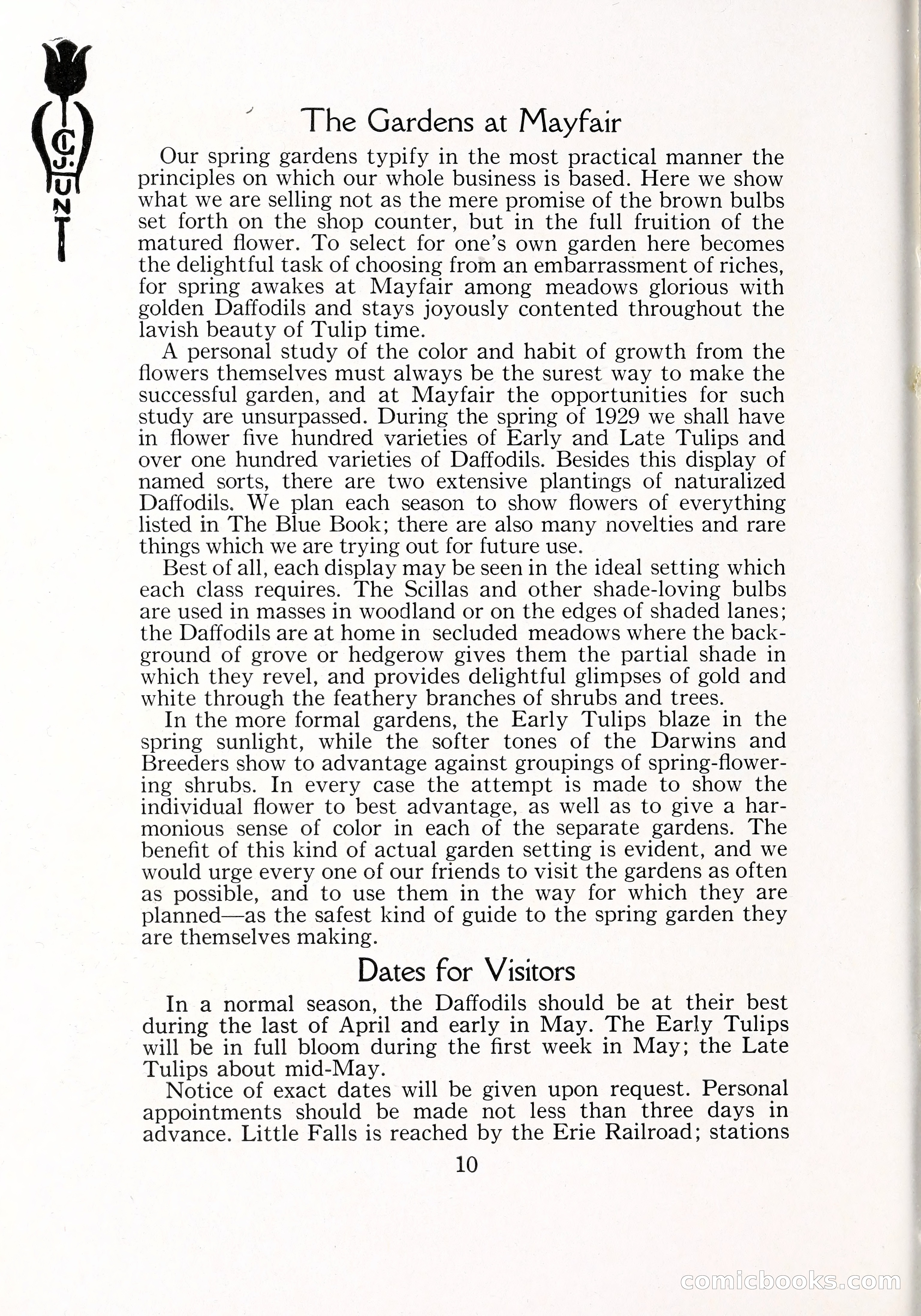 Blue Book of Bulbs, 1929 — page 15 of 128