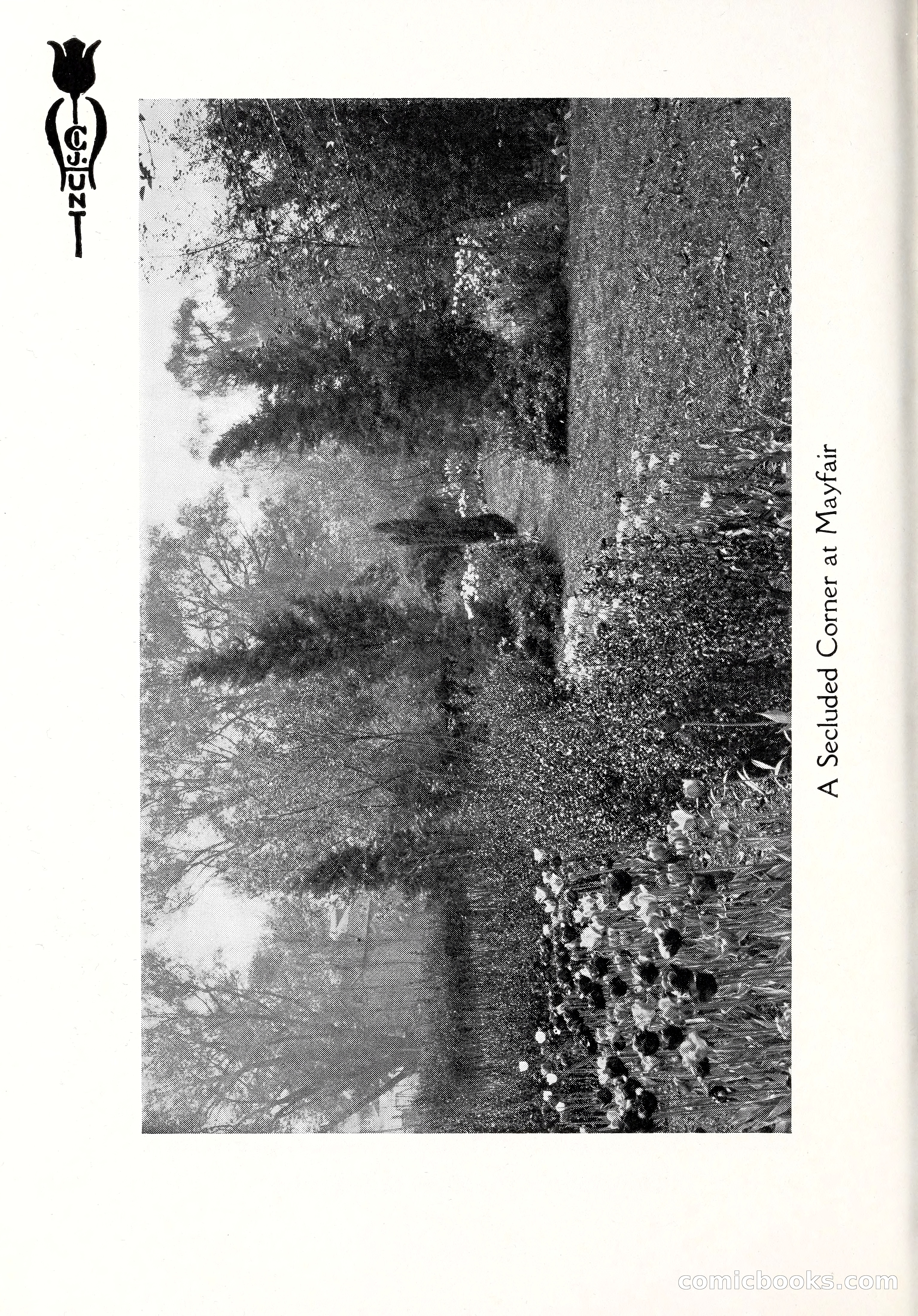 Blue Book of Bulbs, 1929 — page 17 of 128
