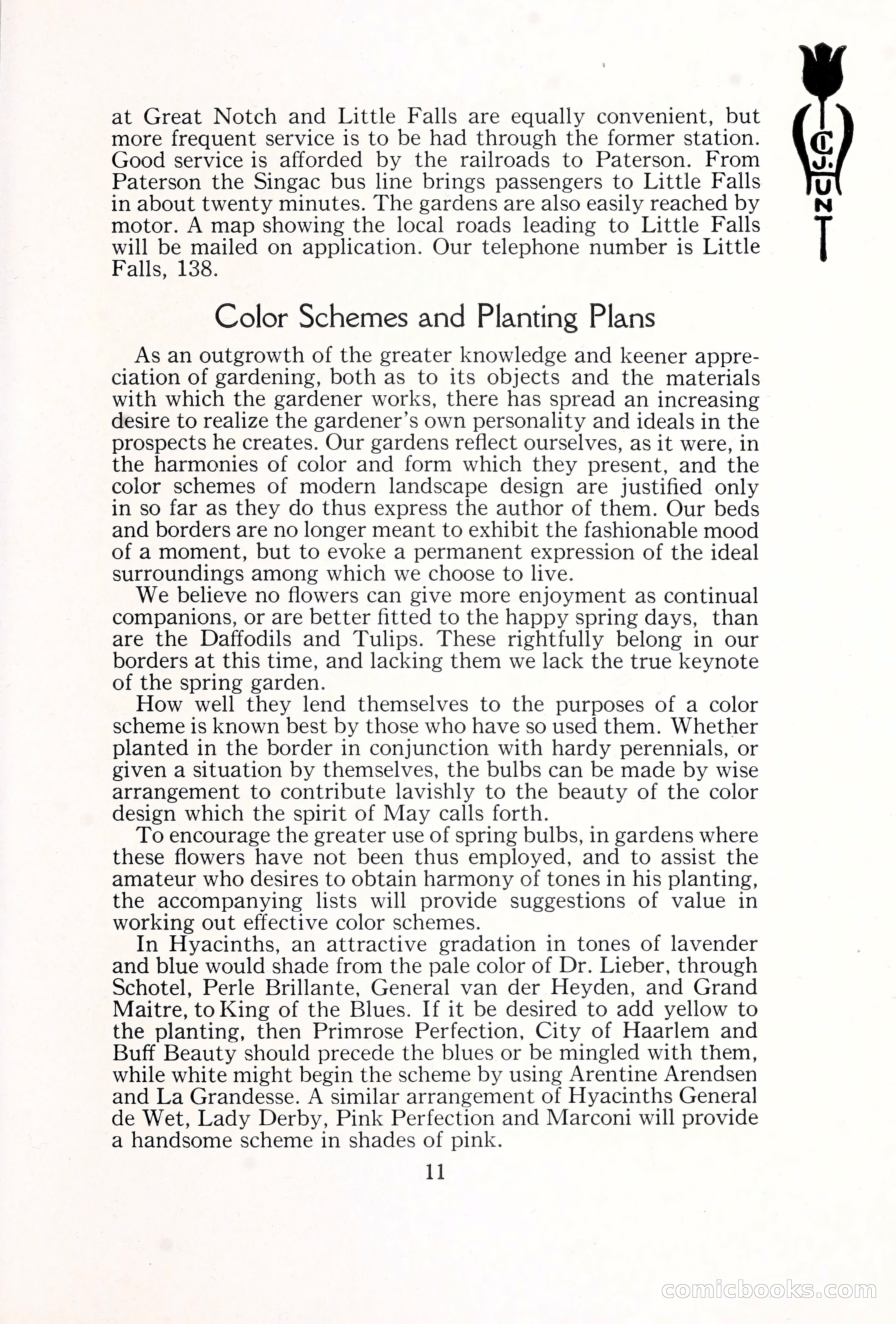Blue Book of Bulbs, 1929 — page 18 of 128