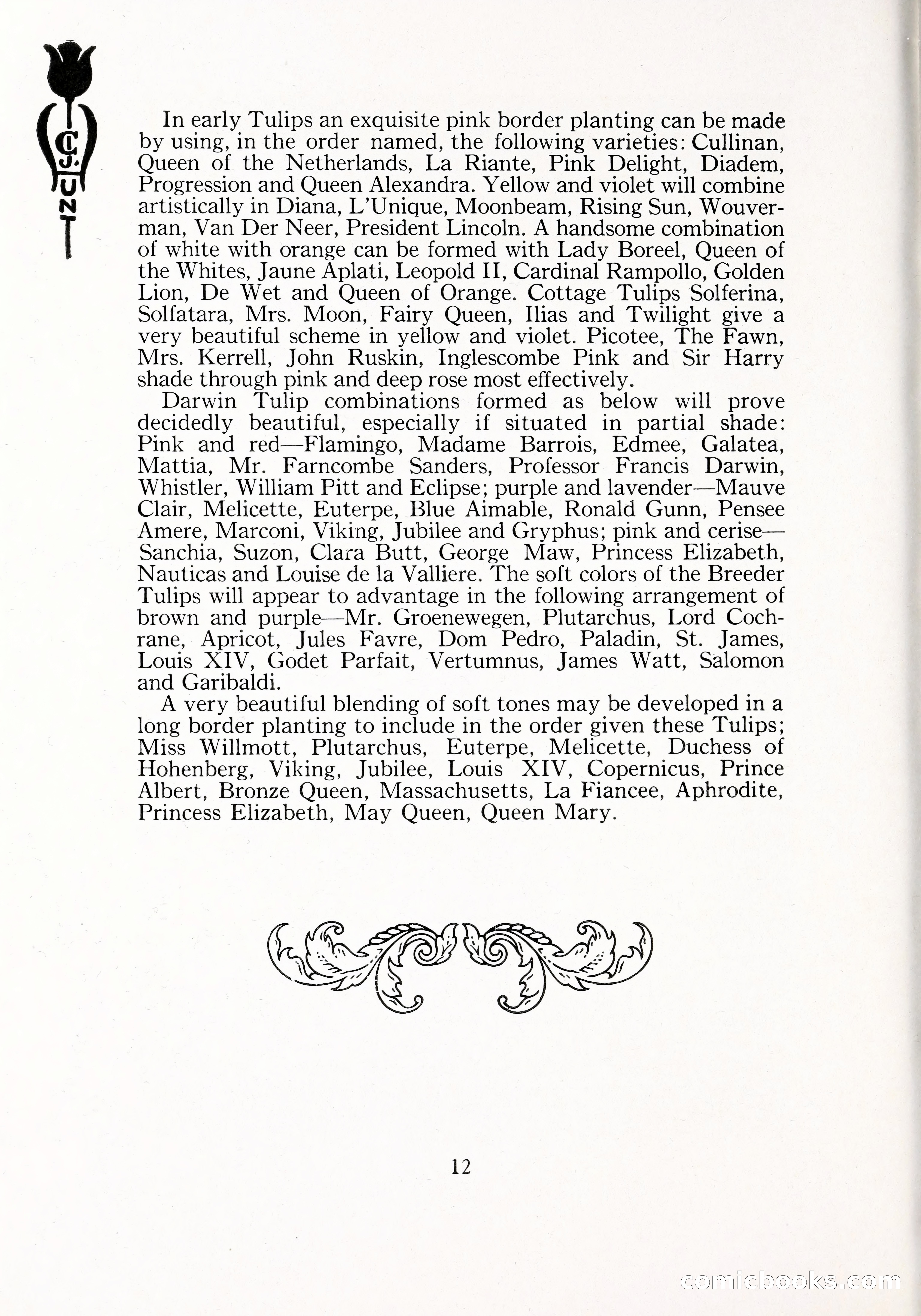 Blue Book of Bulbs, 1929 — page 19 of 128