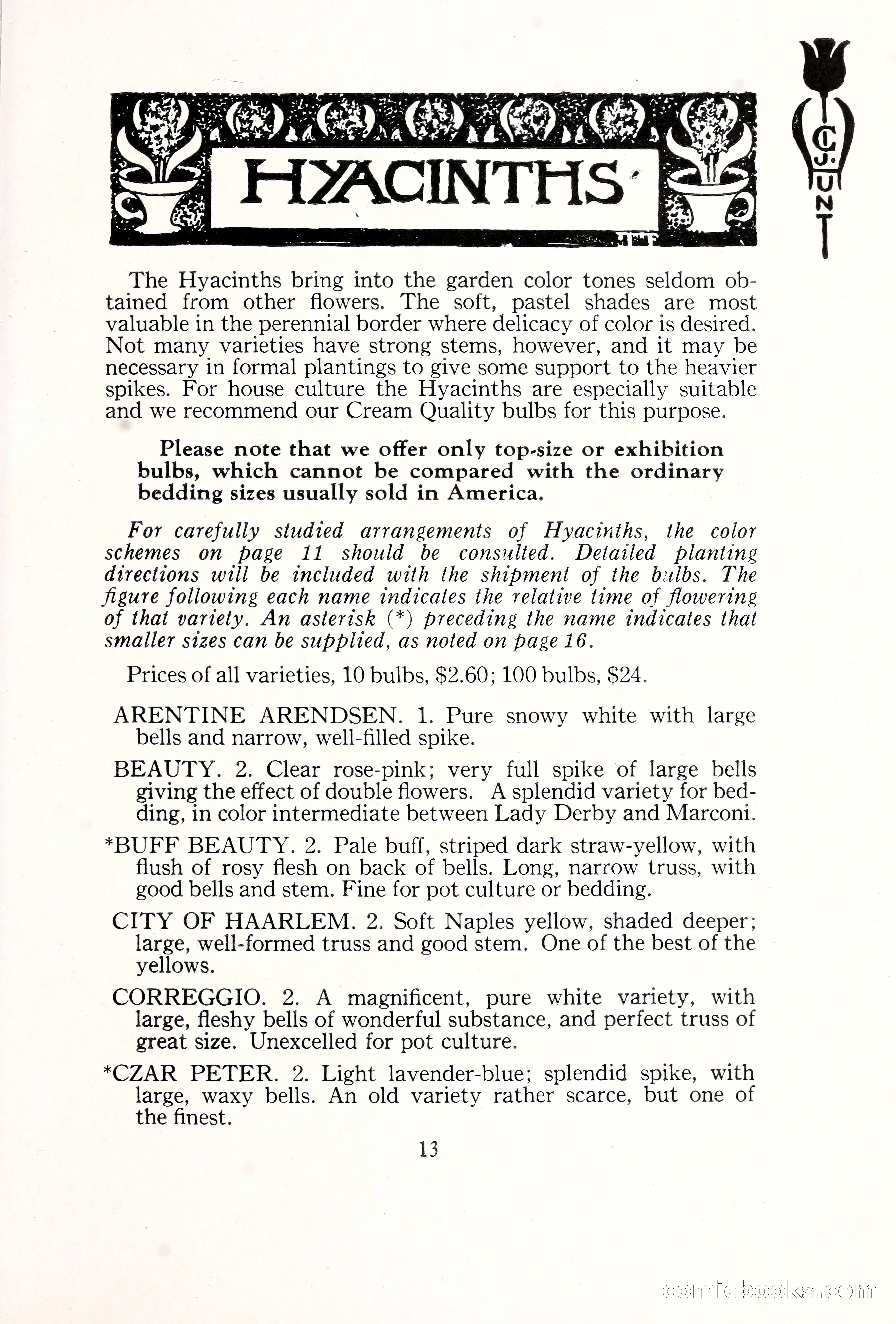 Blue Book of Bulbs, 1929 — page 20 of 128