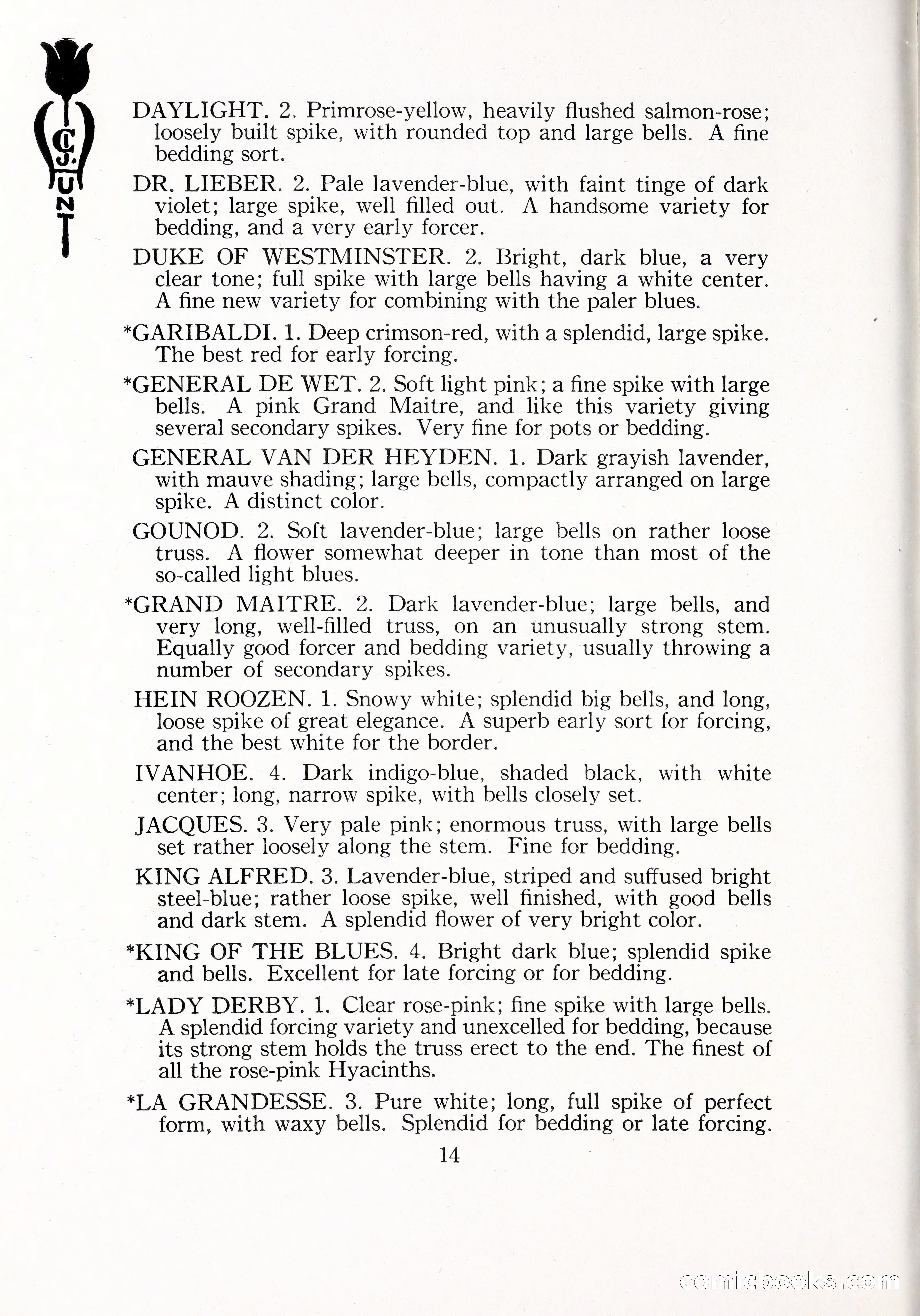 Blue Book of Bulbs, 1929 — page 21 of 128