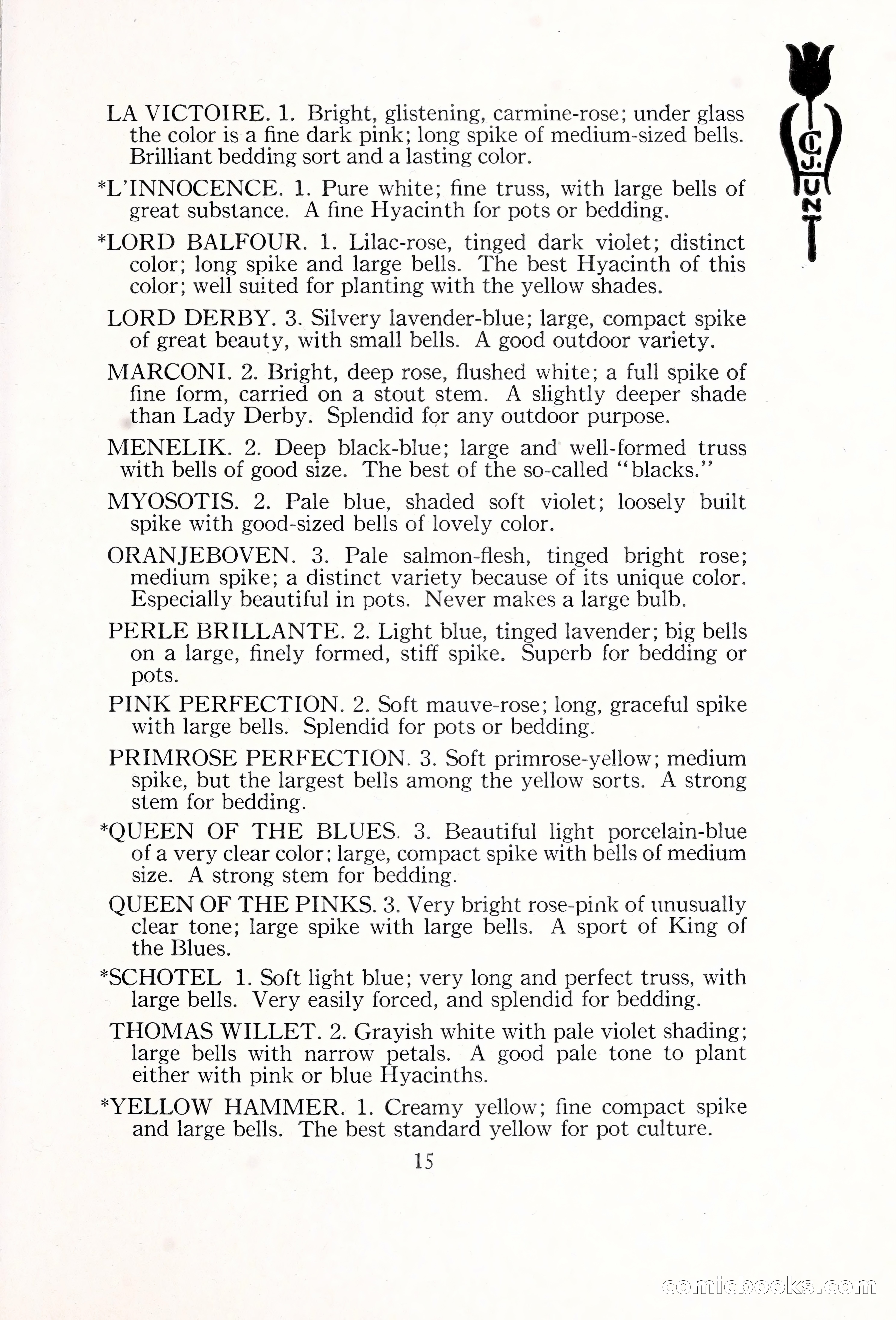 Blue Book of Bulbs, 1929 — page 22 of 128