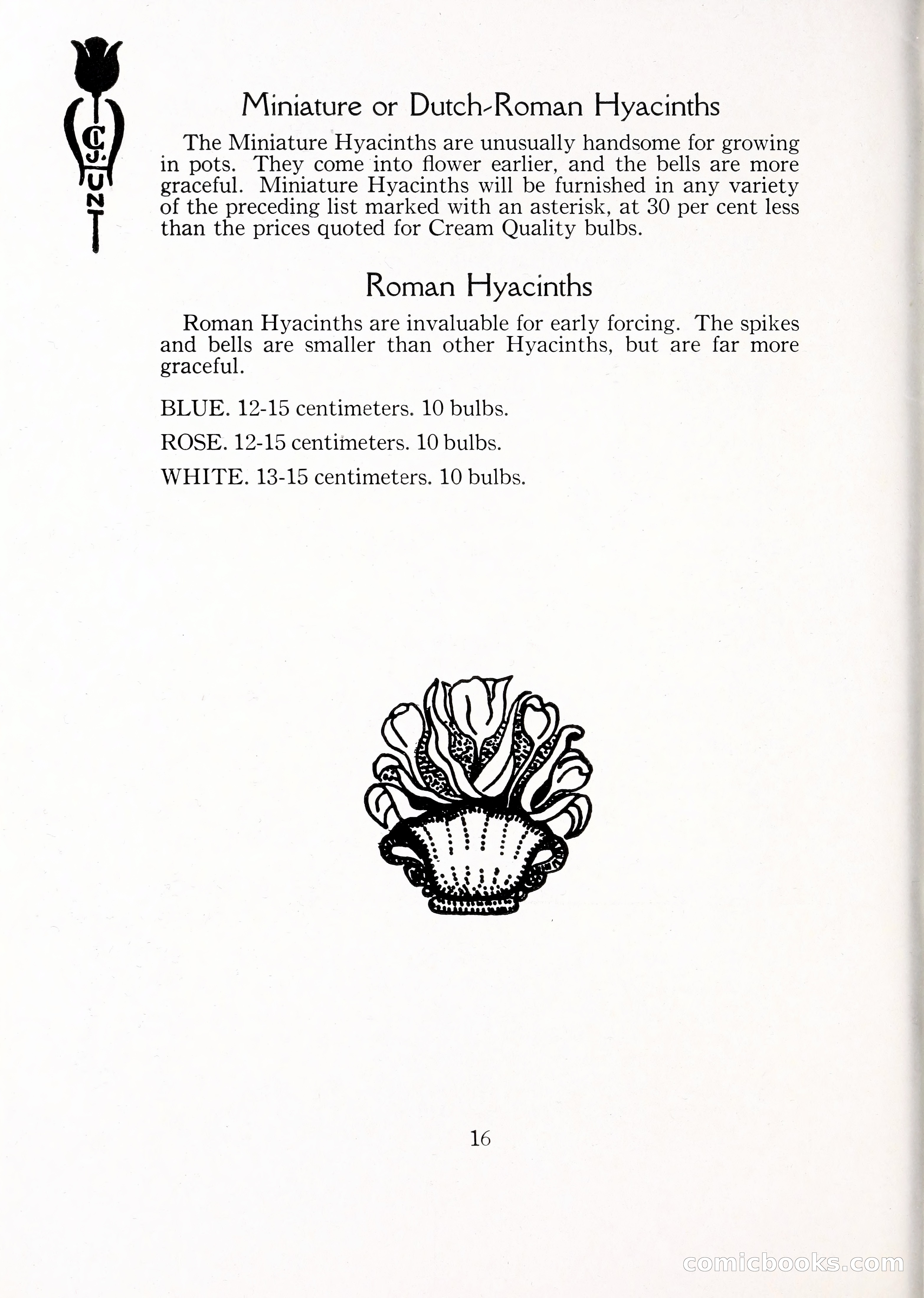 Blue Book of Bulbs, 1929 — page 23 of 128