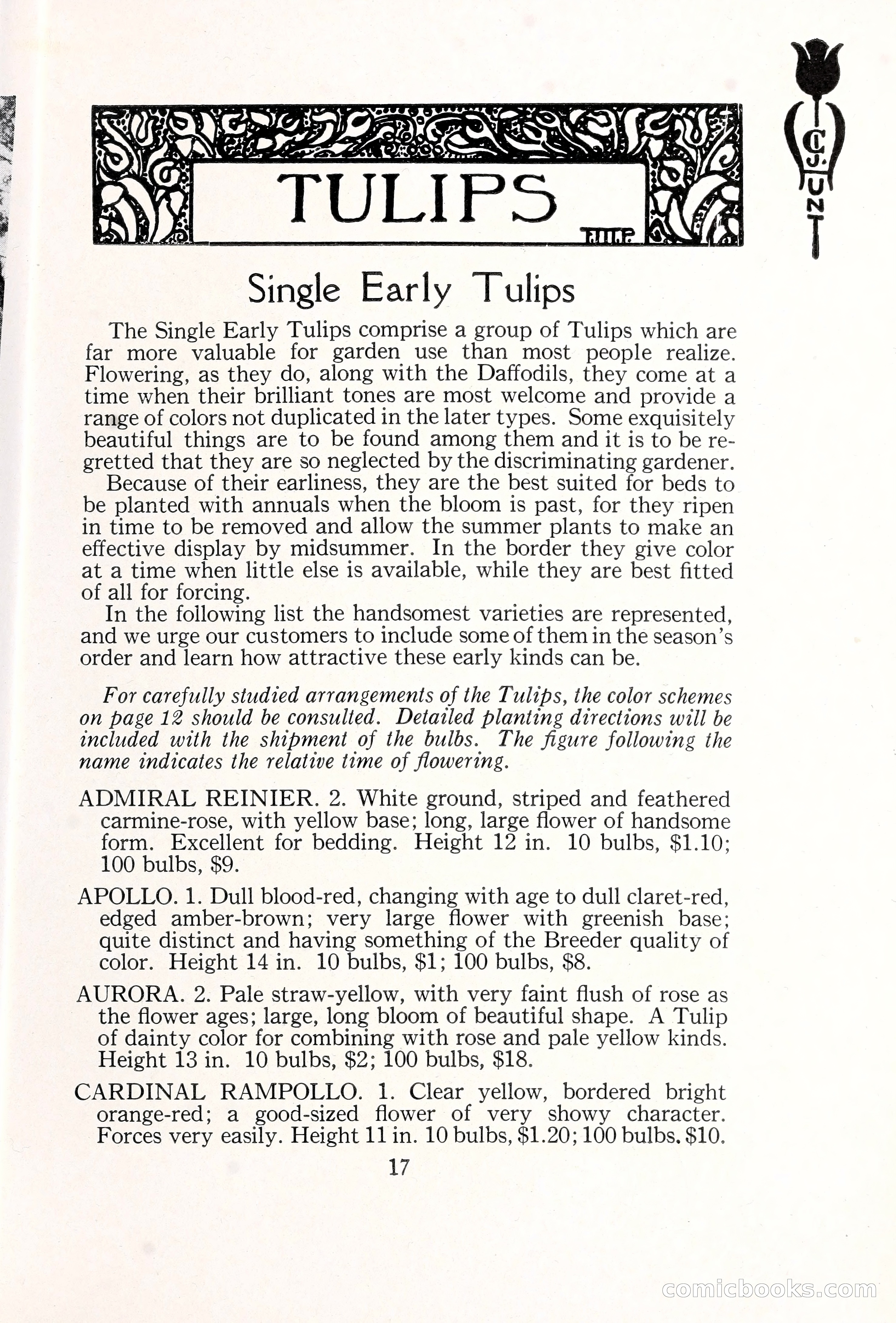 Blue Book of Bulbs, 1929 — page 26 of 128