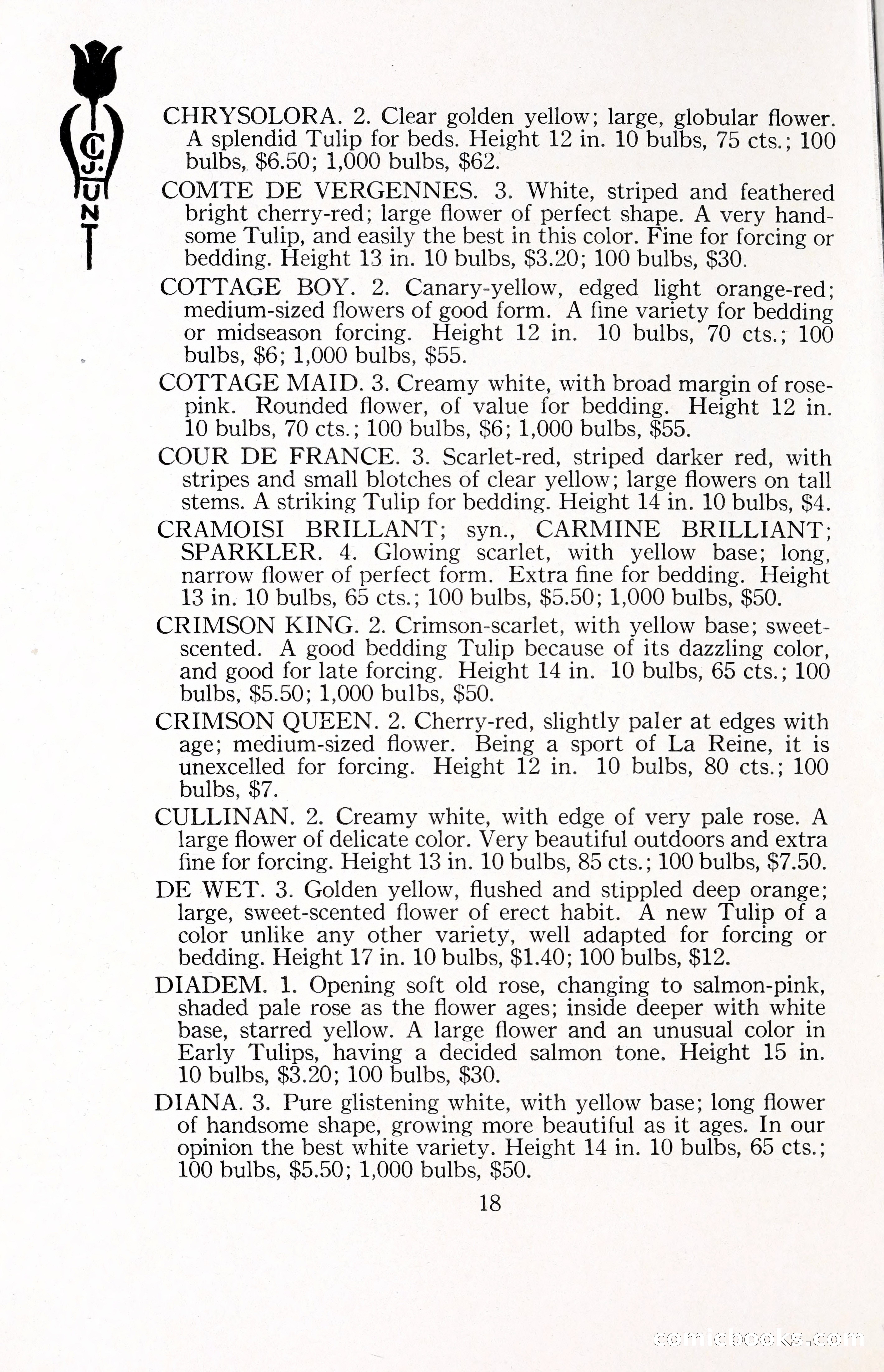 Blue Book of Bulbs, 1929 — page 27 of 128
